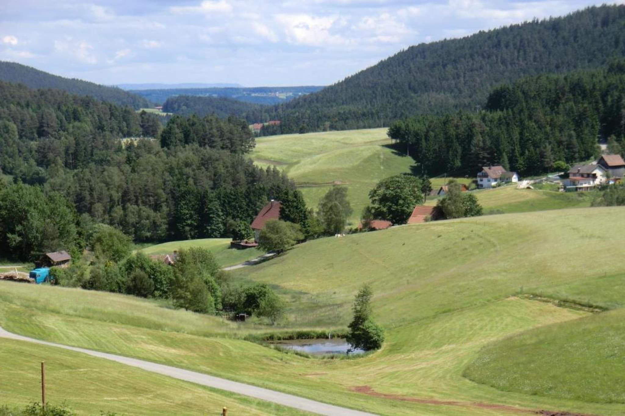 Meisdorf II-Areas summer 20km