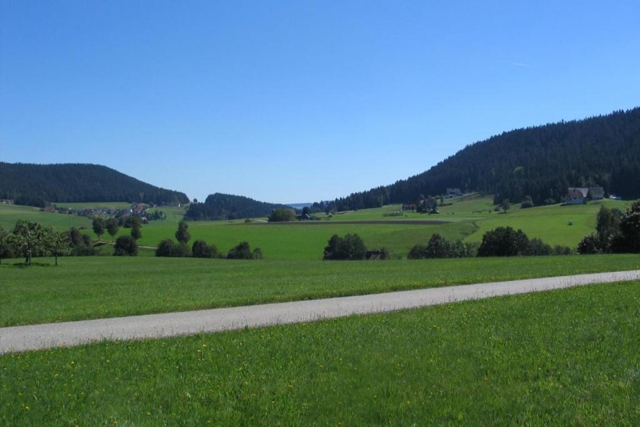 Meisdorf II-Areas summer 20km