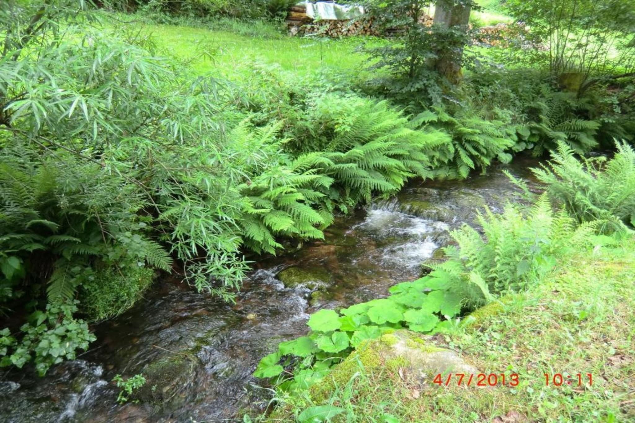 Meisdorf II-Areas summer 20km