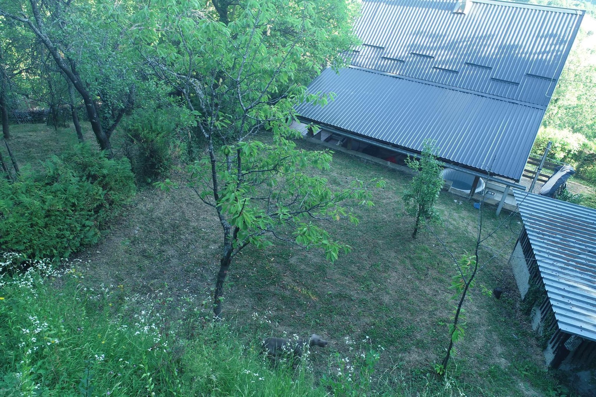 Plešivica House - Gebieden zomer 1km