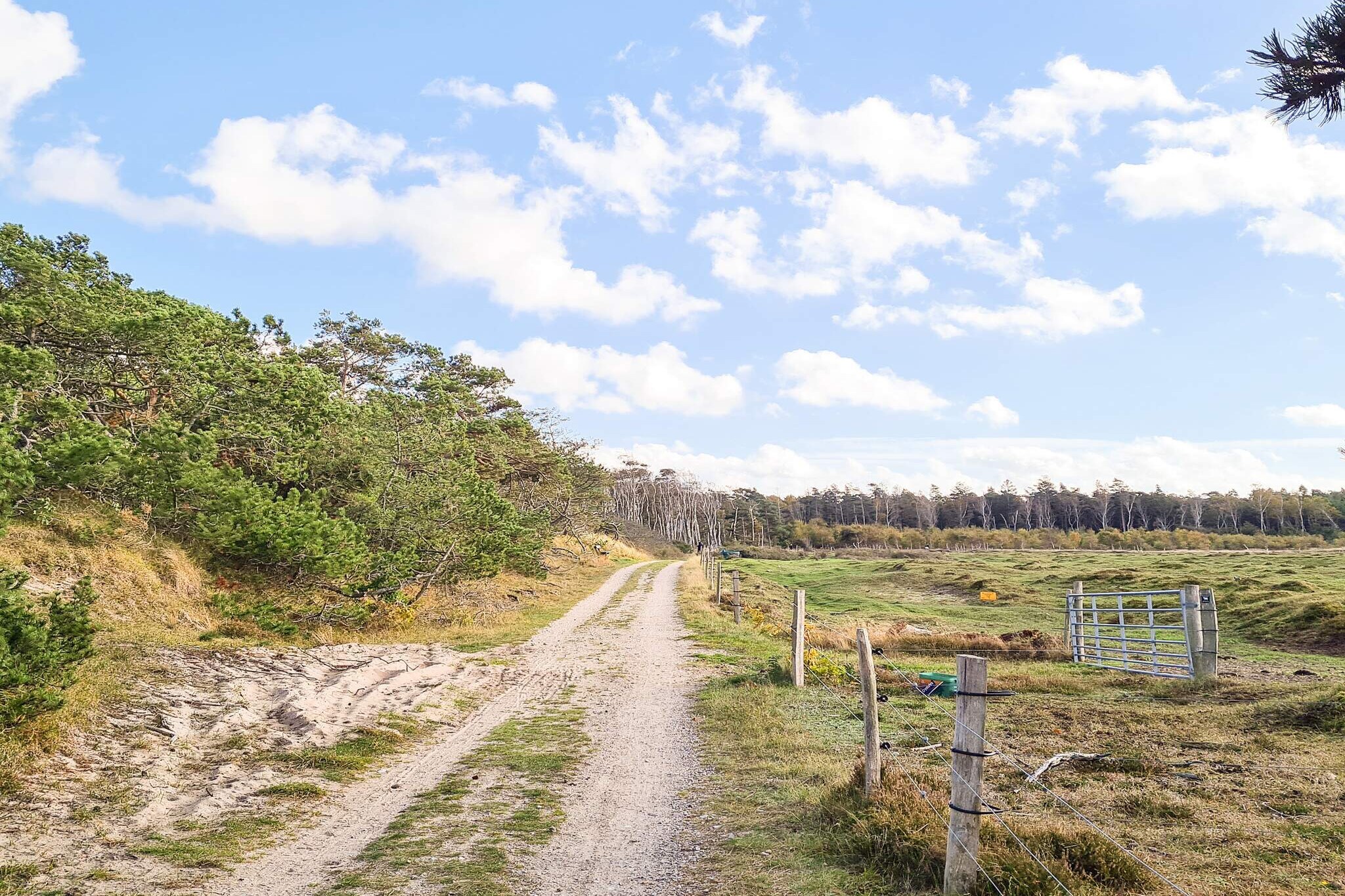 Maison de vacances pour 8 a Frederiksværk - Vue