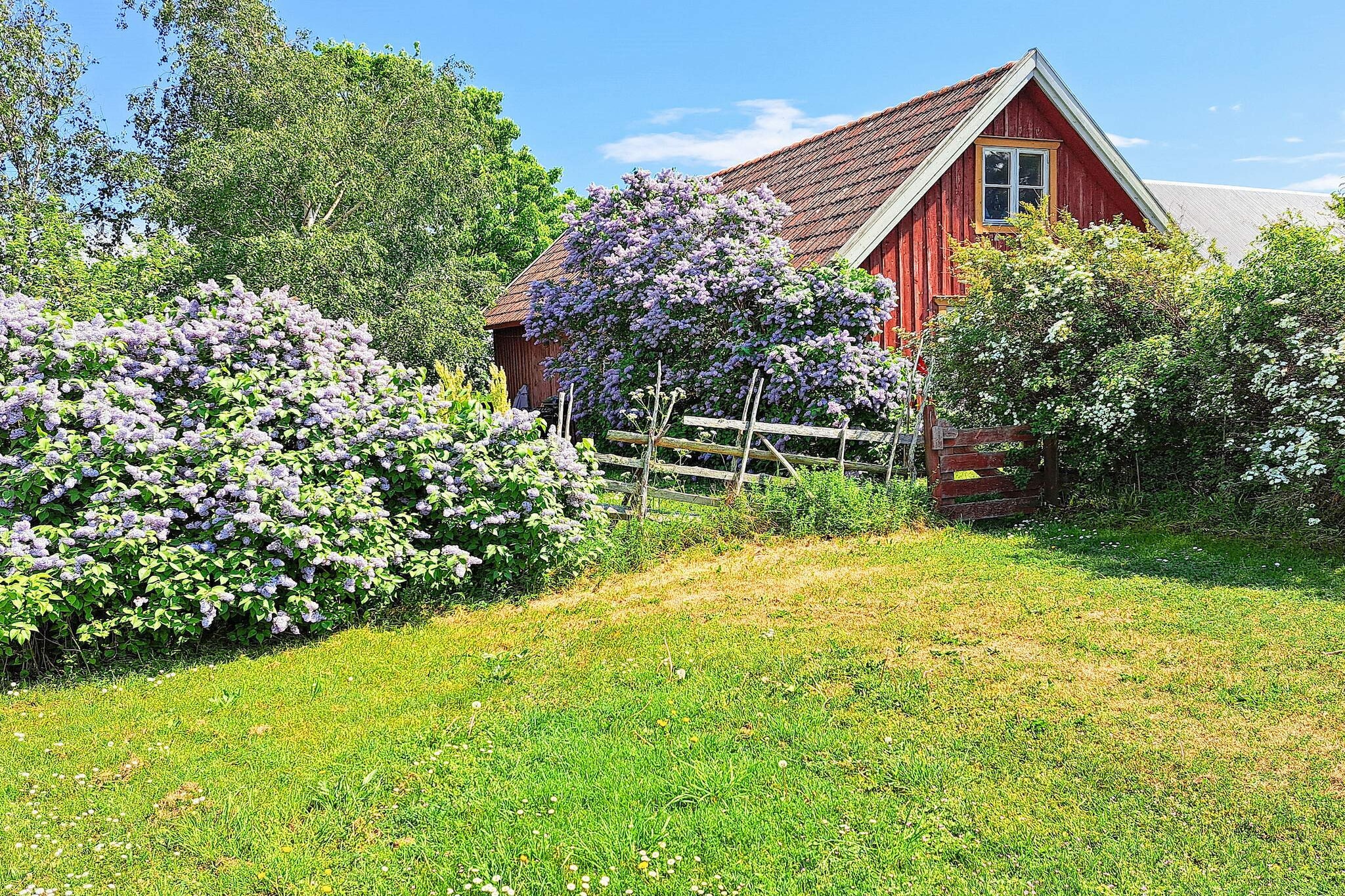 Maison de vacances pour 8 a GOTLANDS.TOFTA - Extérieur