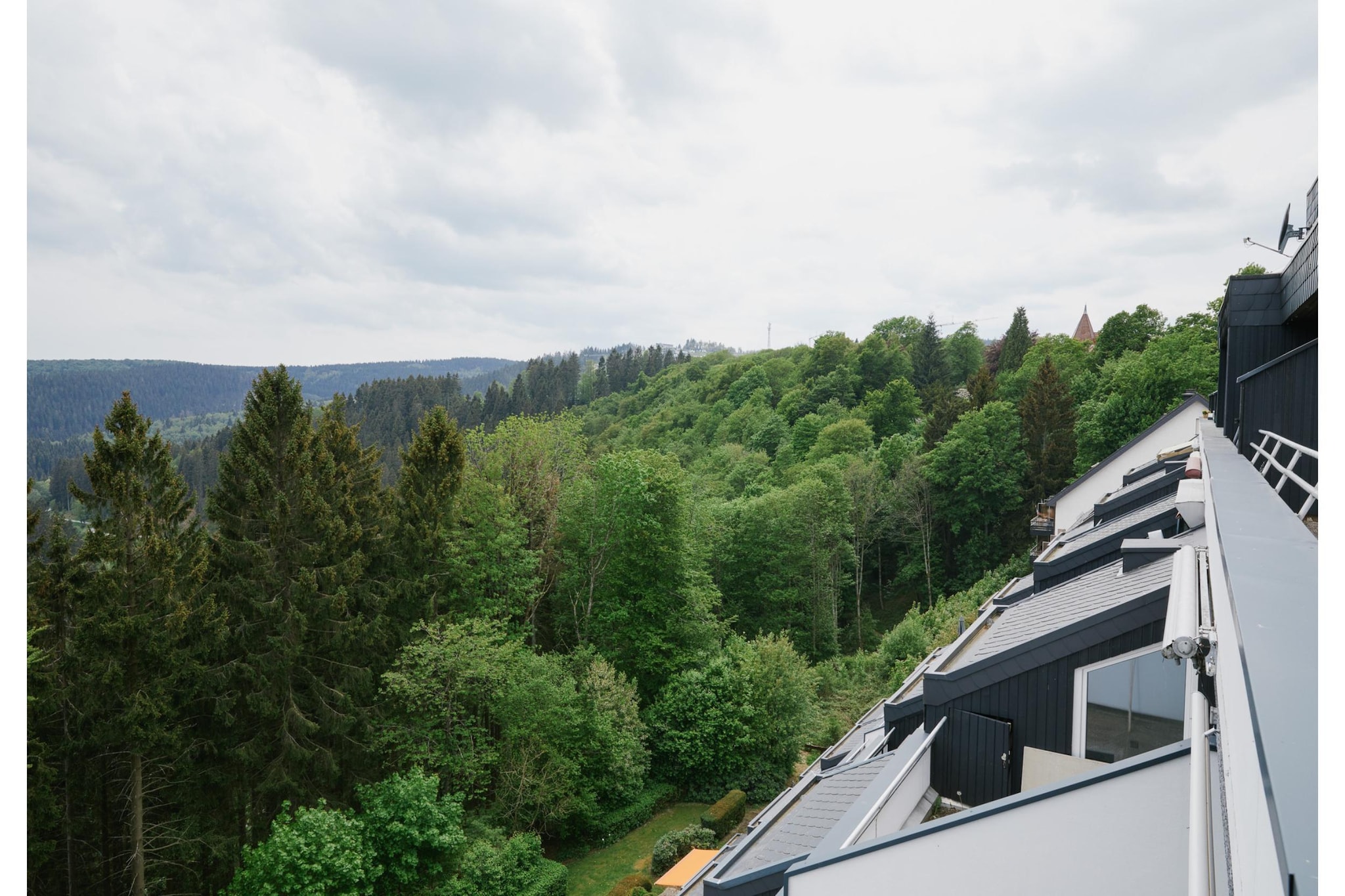 View Summer