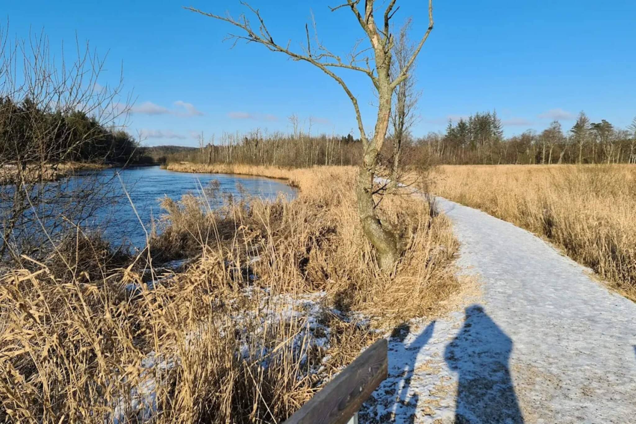 6 Personen Ferienhaus in Fårvang-Wasserblick