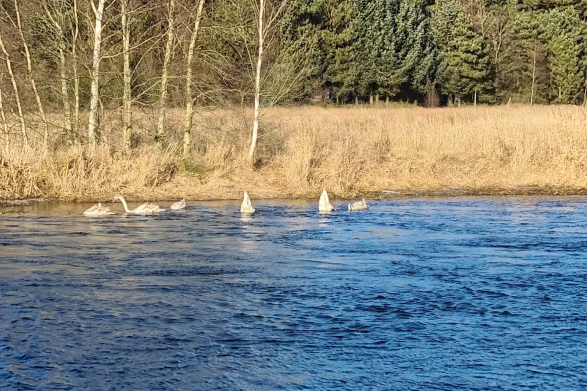 6 Personen Ferienhaus in Fårvang-Wasserblick