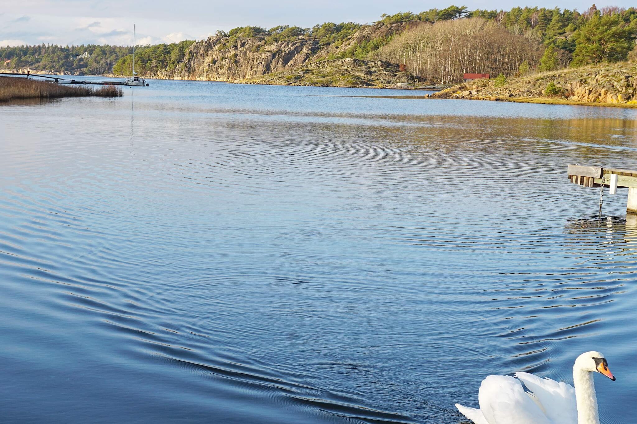 4 person holiday home in STRÃ–MSTAD