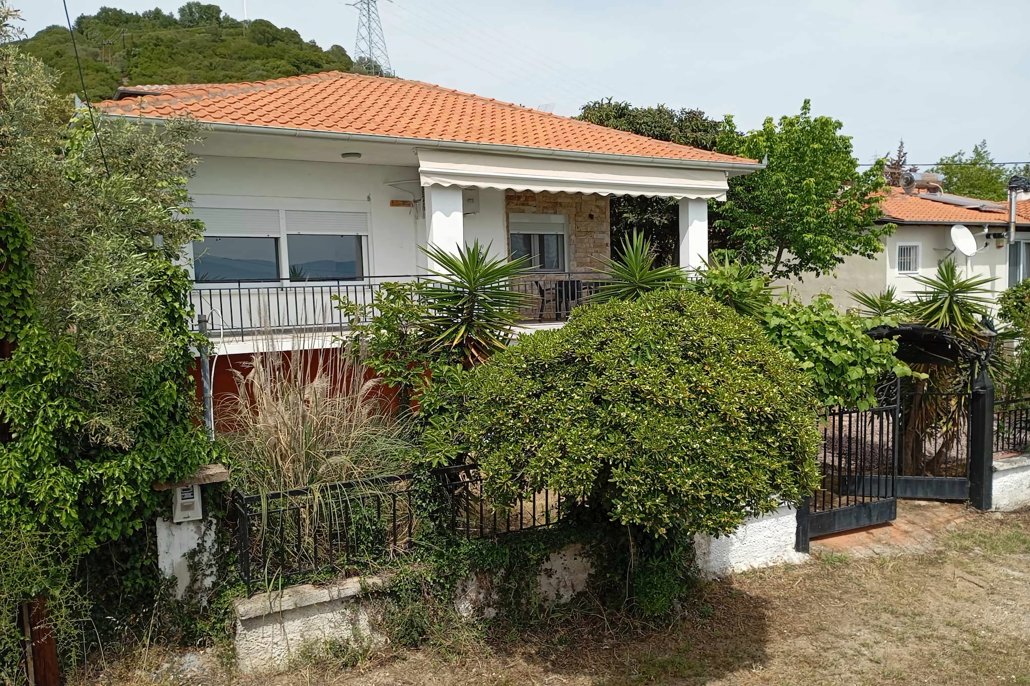 Exterior Summer