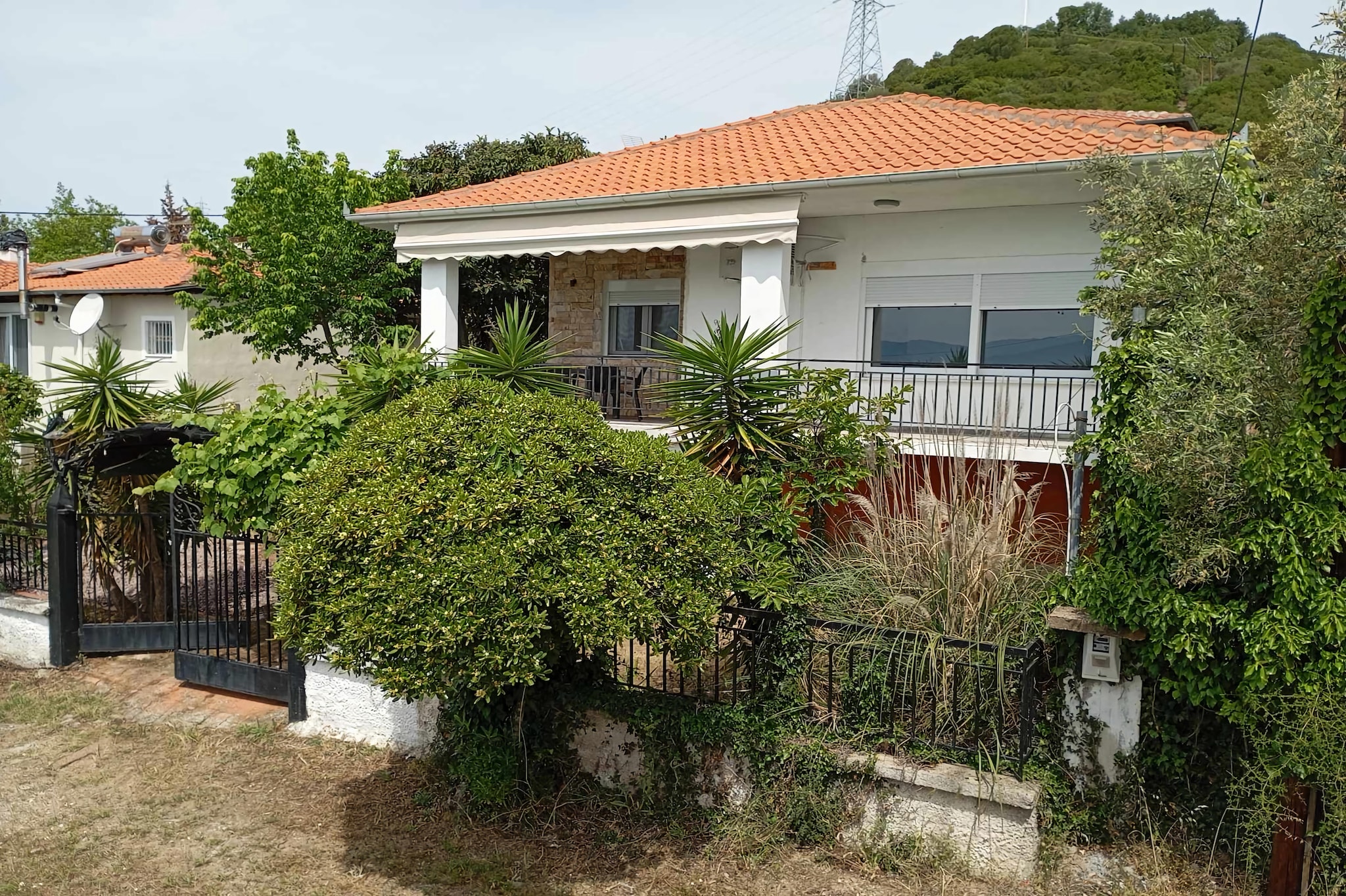Exterior Summer