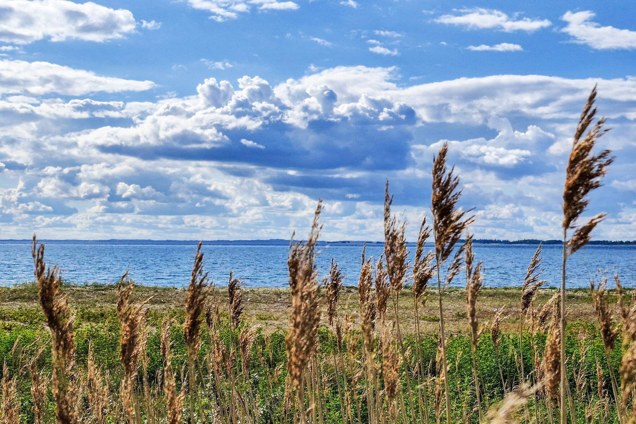Maison de vacances pour 4 a Assens - Vue sur l'eau