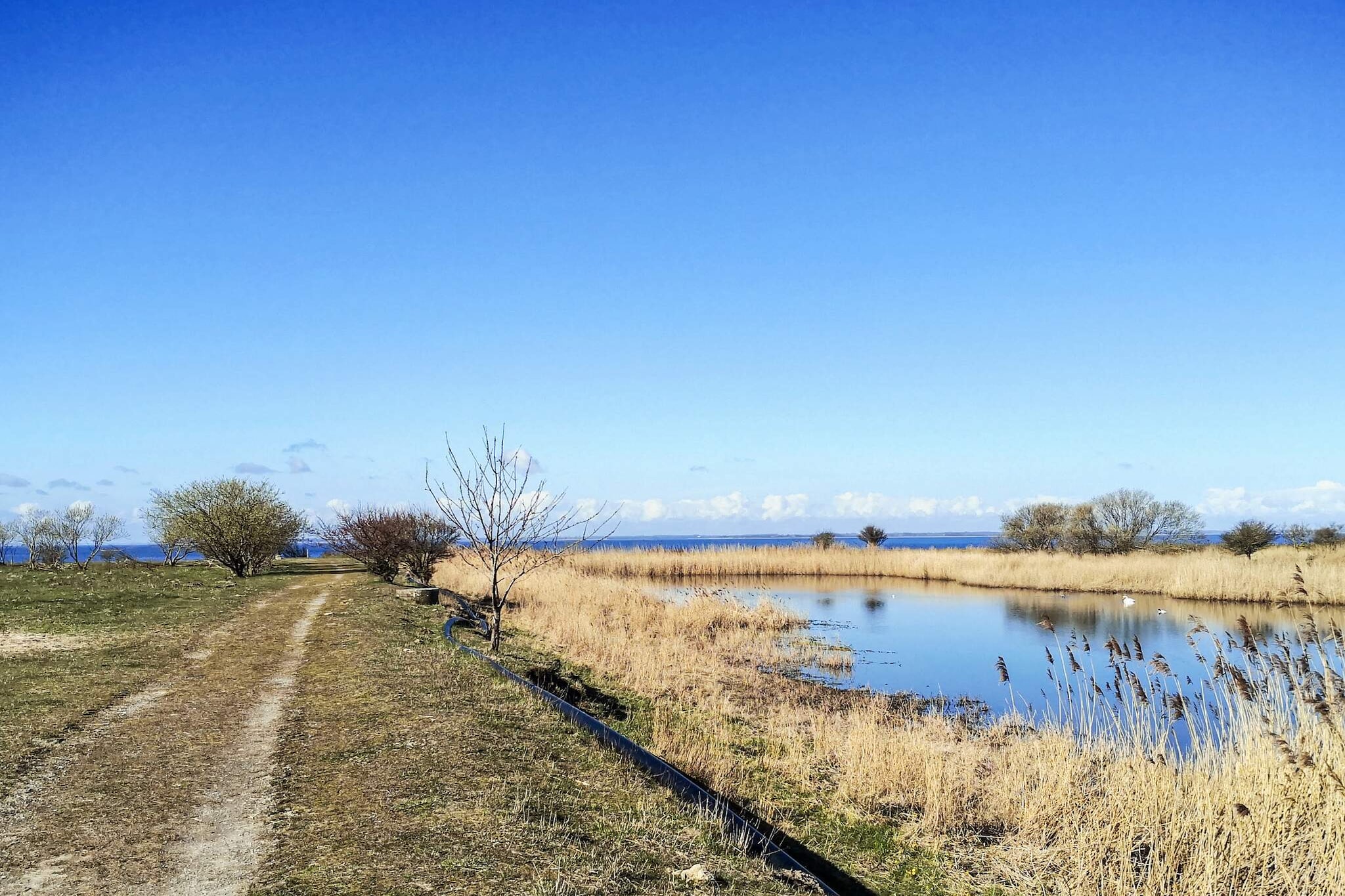 Maison de vacances pour 4 a Assens - Vue sur l'eau