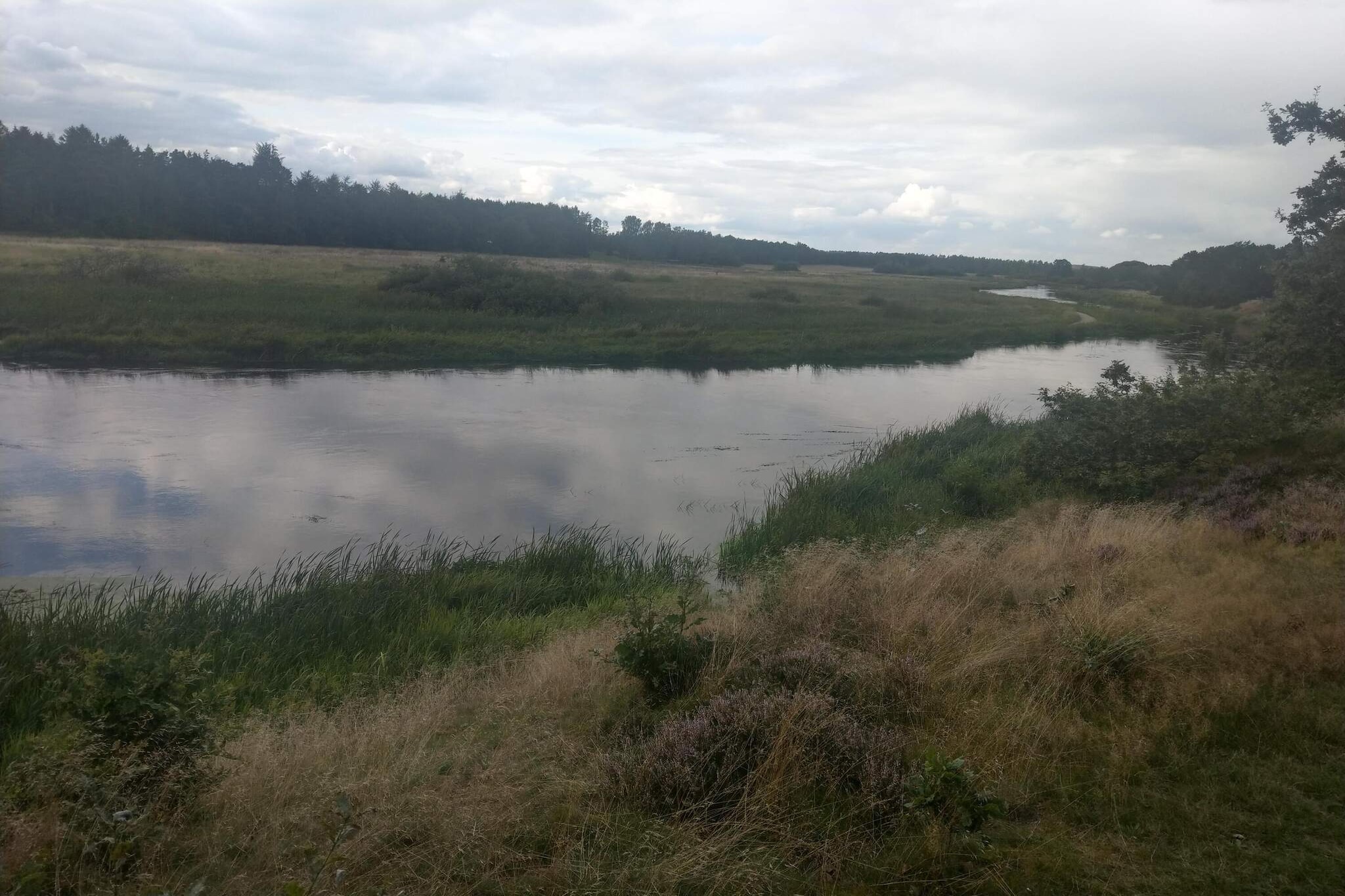 6 Personen Ferienhaus in Fårvang-Wasserblick