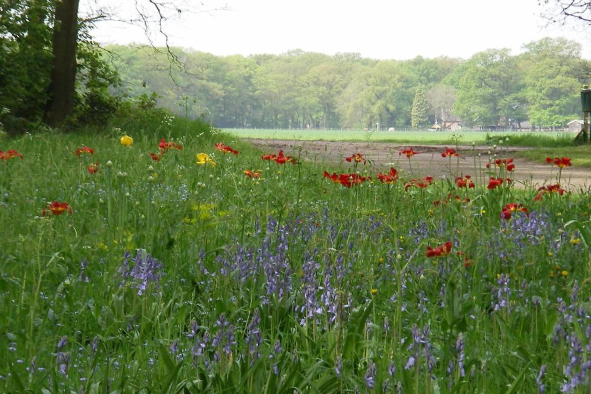 Vakantiecentrum 't Schuttenbelt 7-Gebiete Sommer 20 km