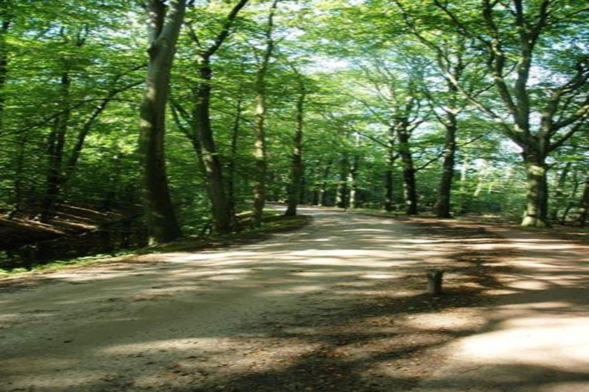 Vakantiecentrum 't Schuttenbelt 7-Gebiete Sommer 20 km