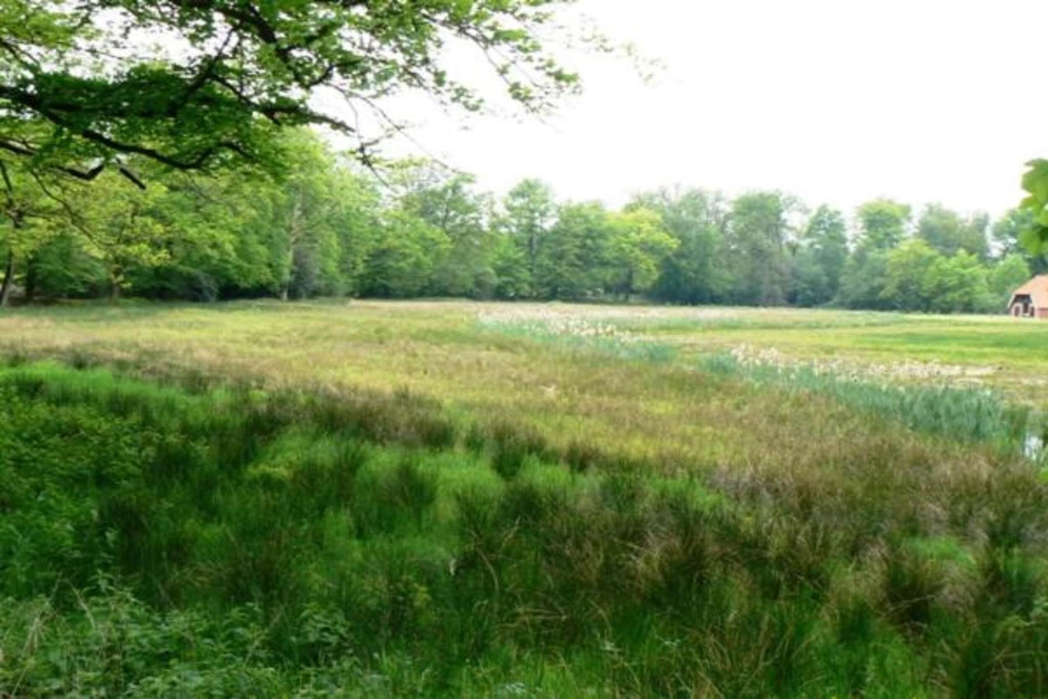Vakantiecentrum 't Schuttenbelt 7-Gebiete Sommer 20 km