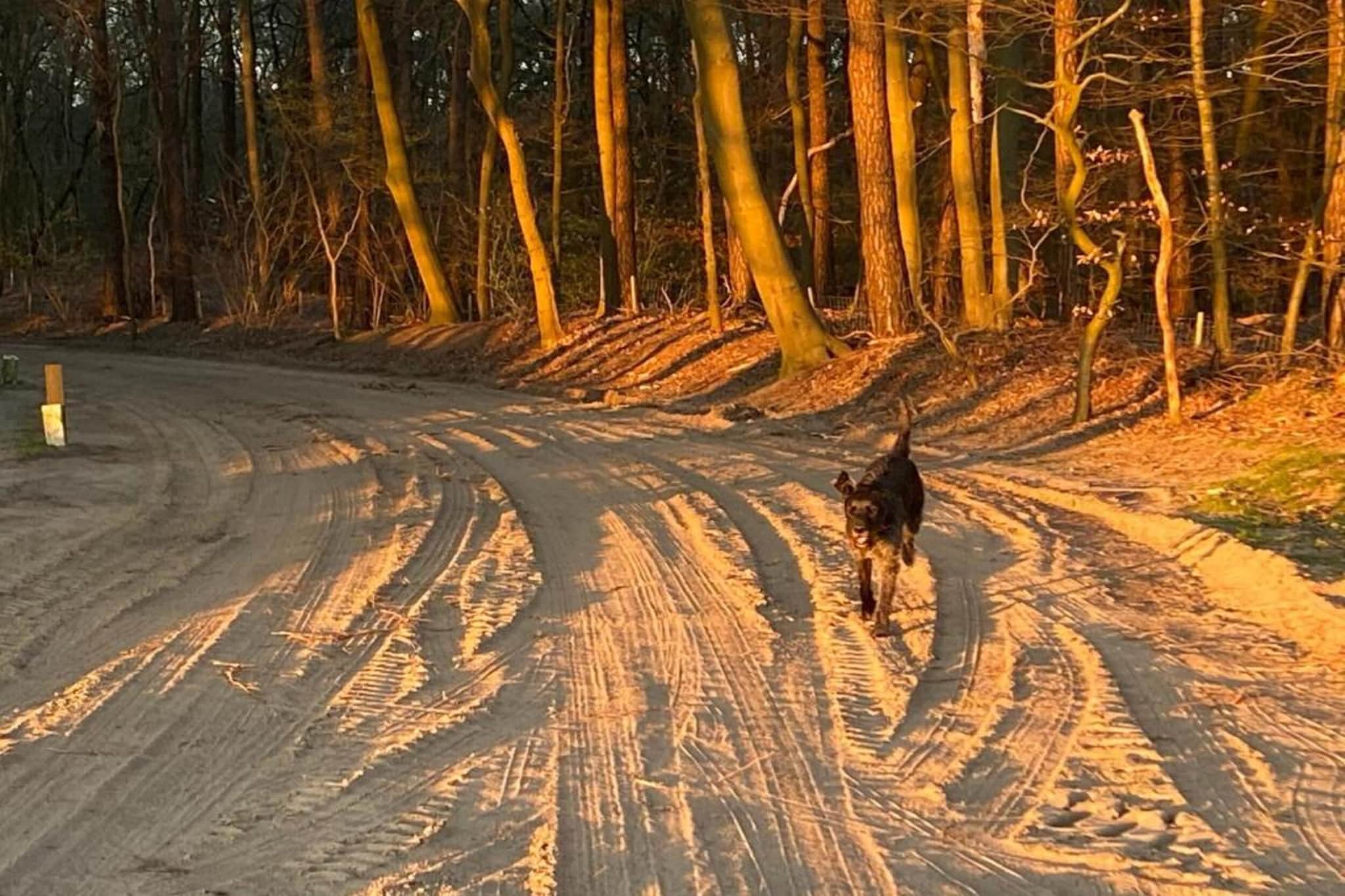 Vakantiepark De Lochemse Berg 1-Gebieden zomer 20km