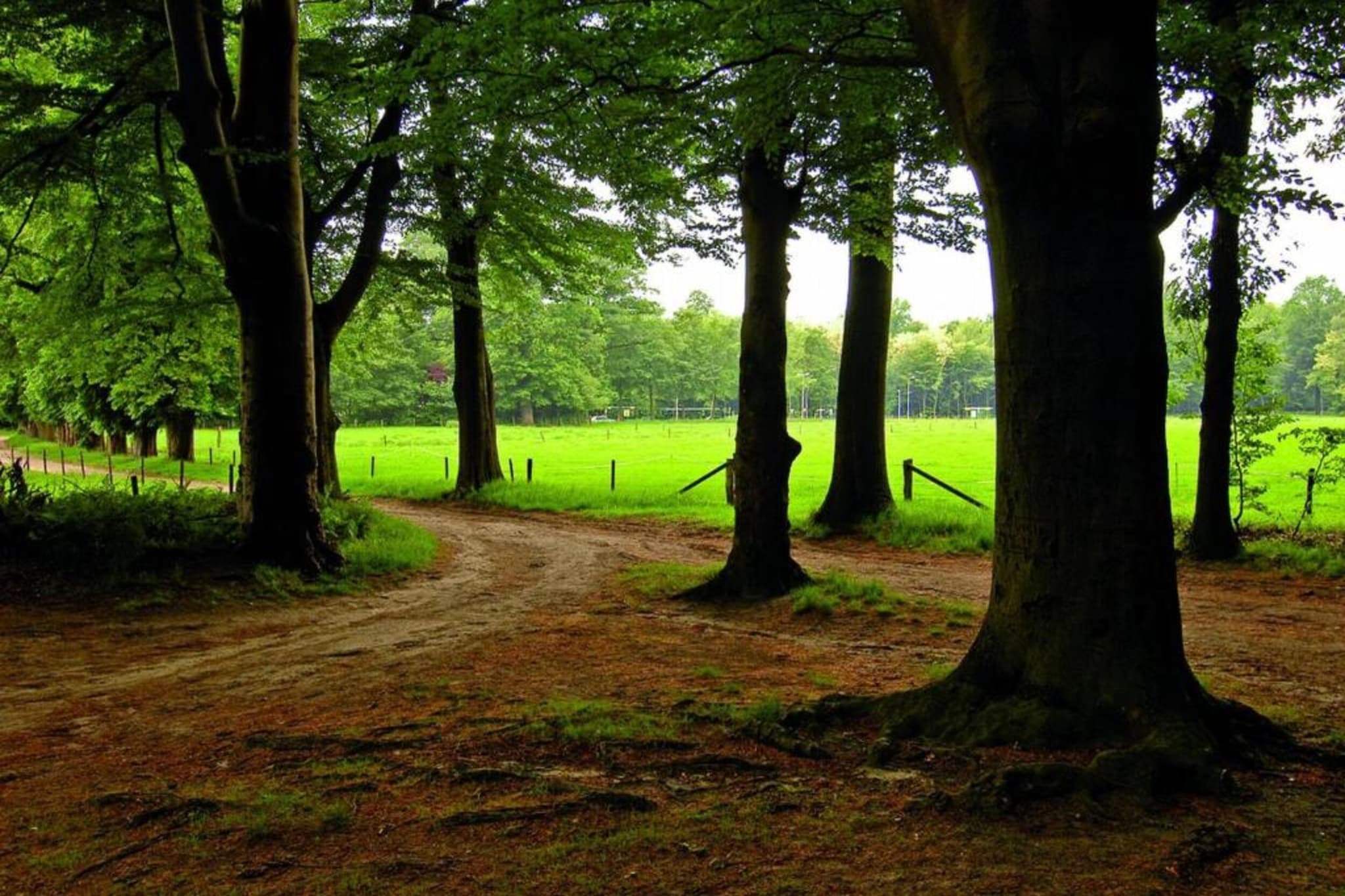 Vakantiepark De Lochemse Berg 2-Areas summer 20km