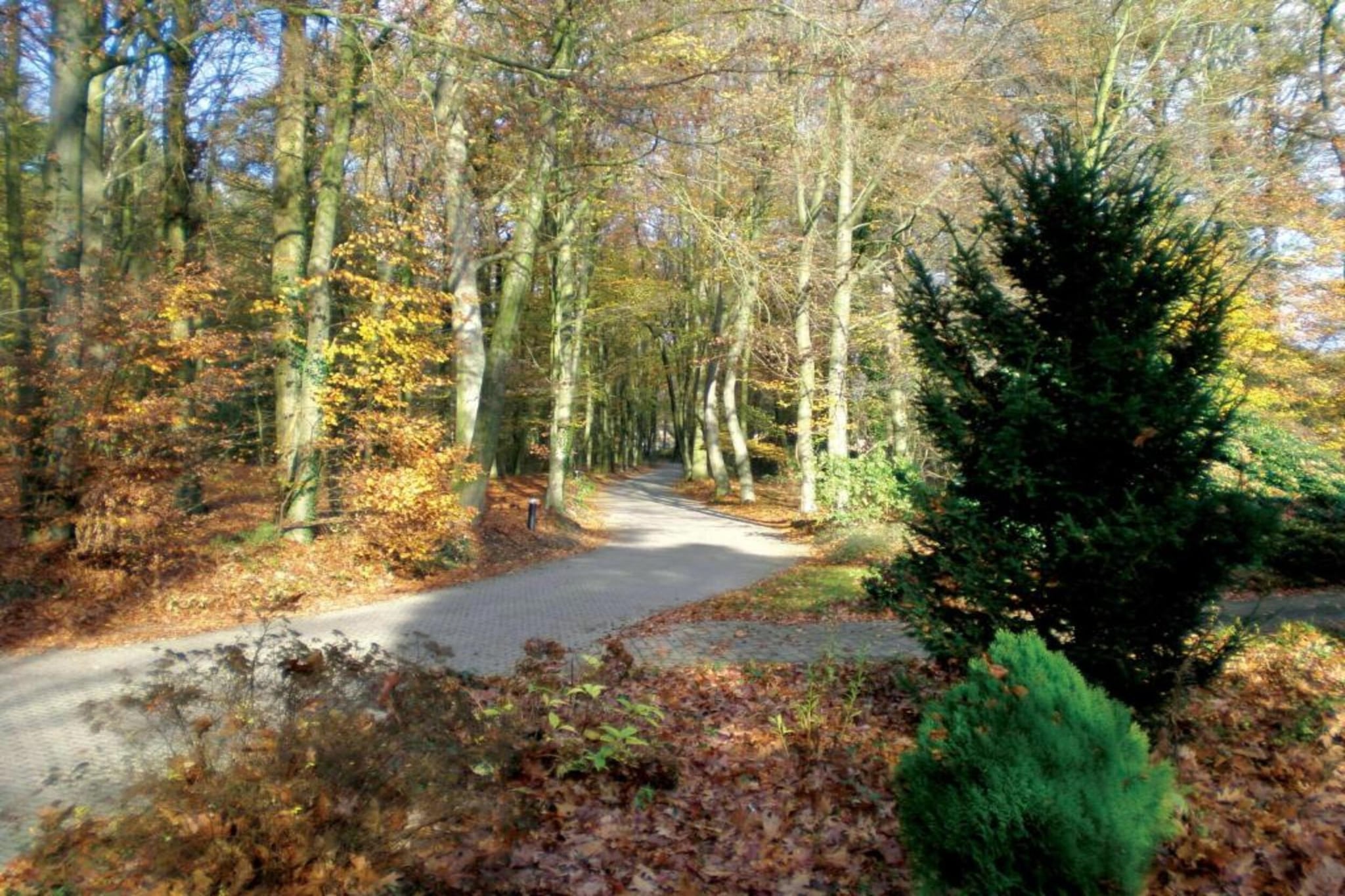 Vakantiepark De Lochemse Berg 2-Areas summer 20km