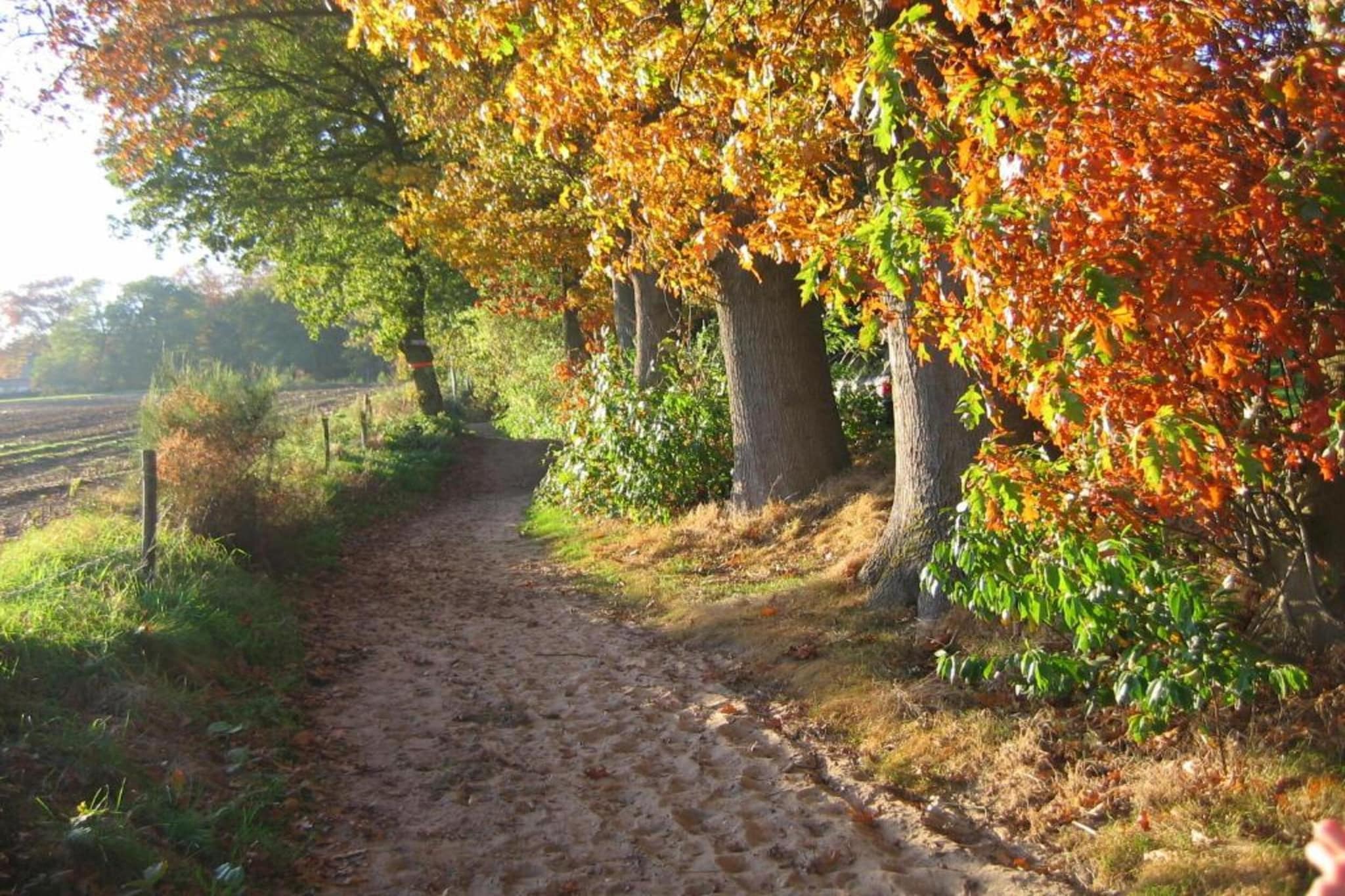 Vakantiepark De Lochemse Berg 2-Areas summer 20km