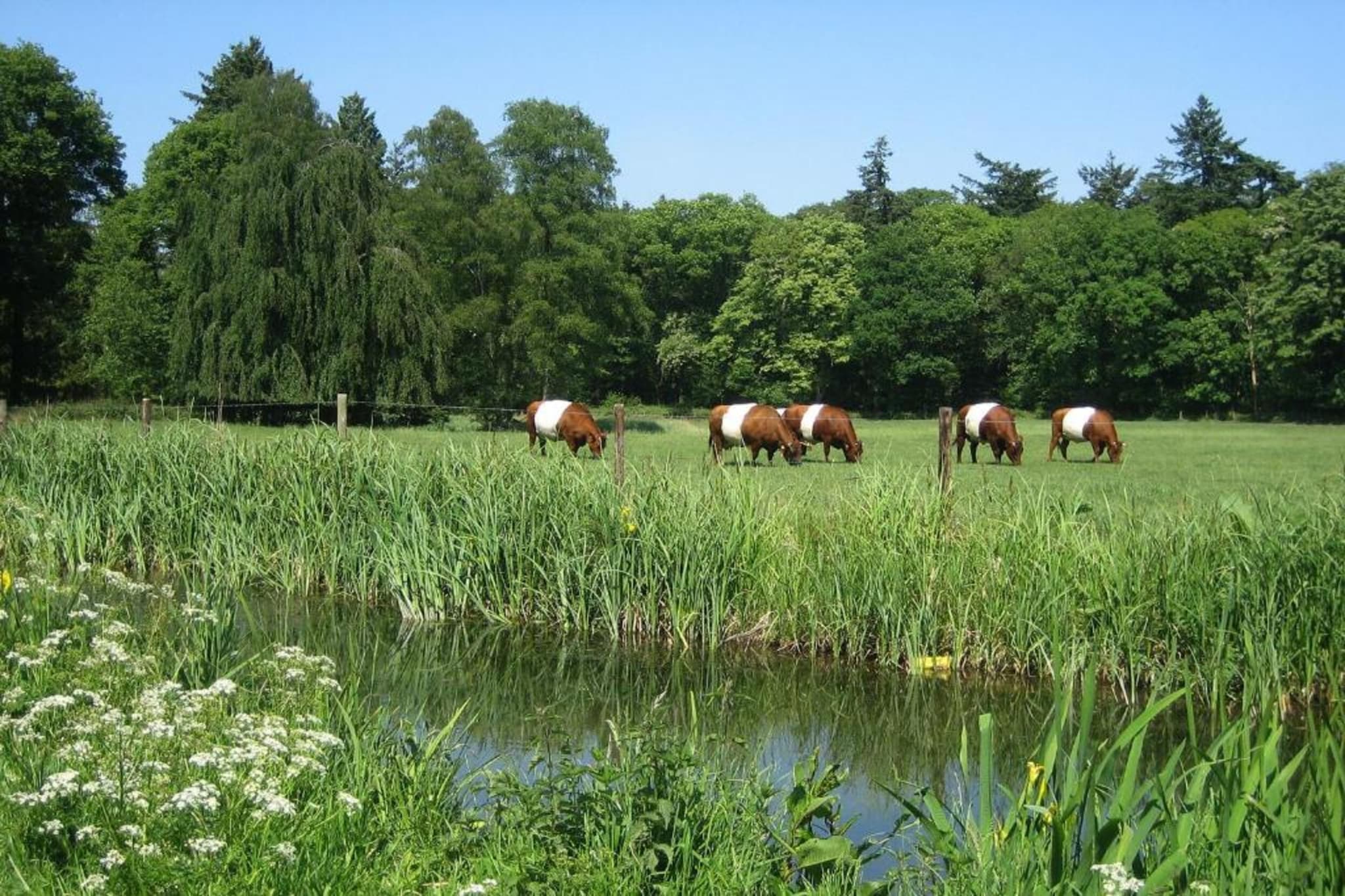 Vakantiepark De Lochemse Berg 2-Areas summer 20km