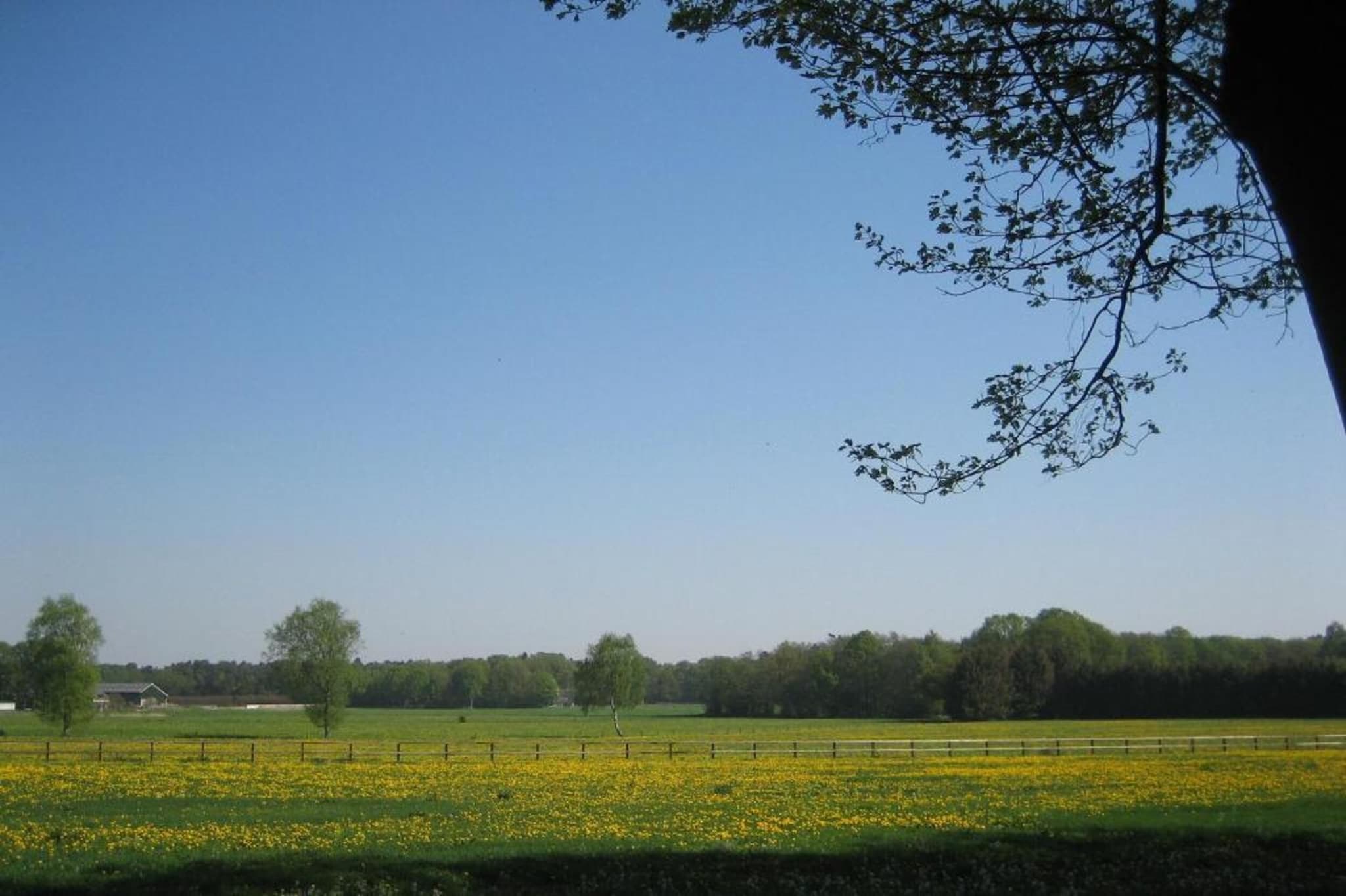 Vakantiepark De Lochemse Berg 2-Areas summer 20km
