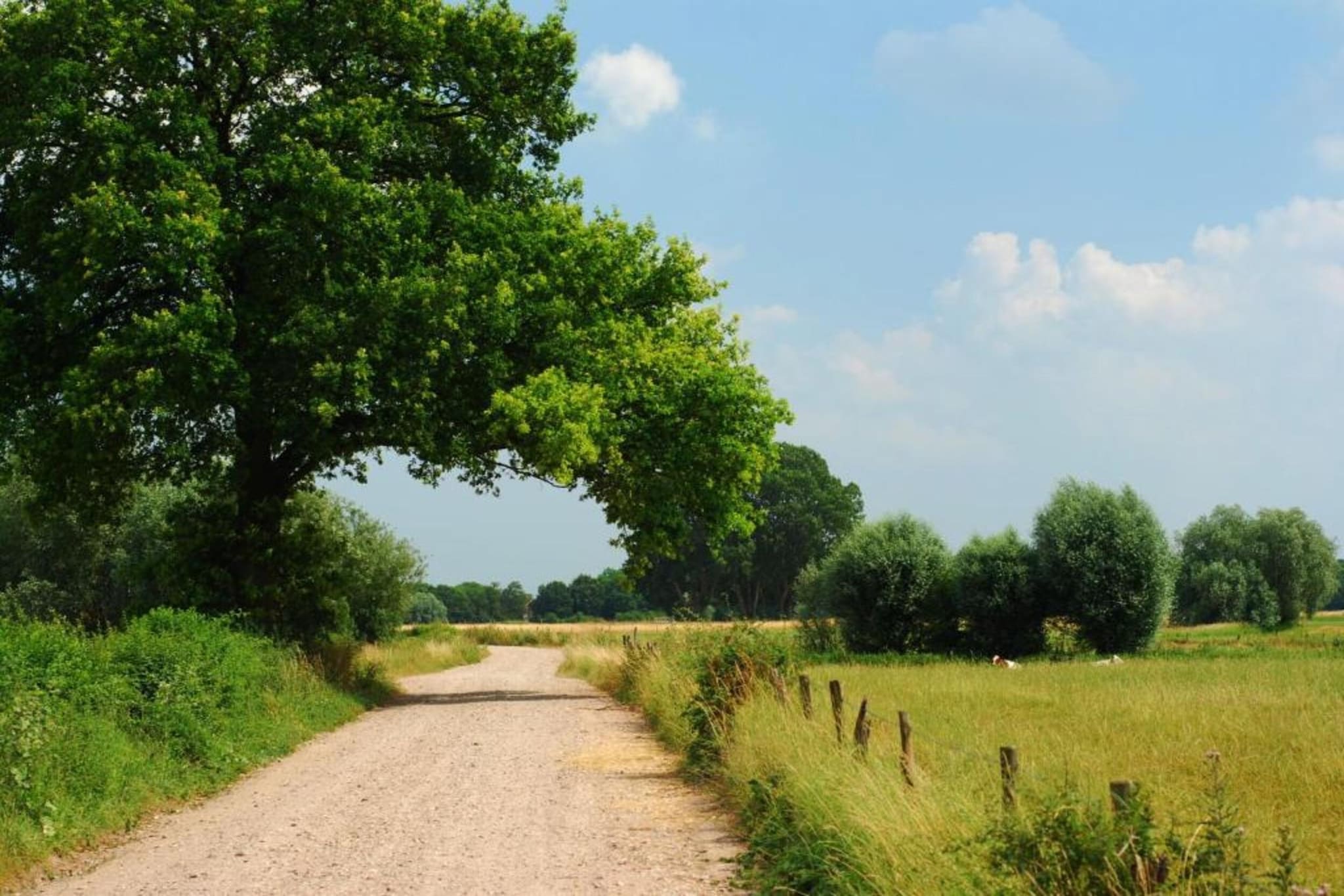 Vakantiepark De Lochemse Berg 2-Areas summer 20km