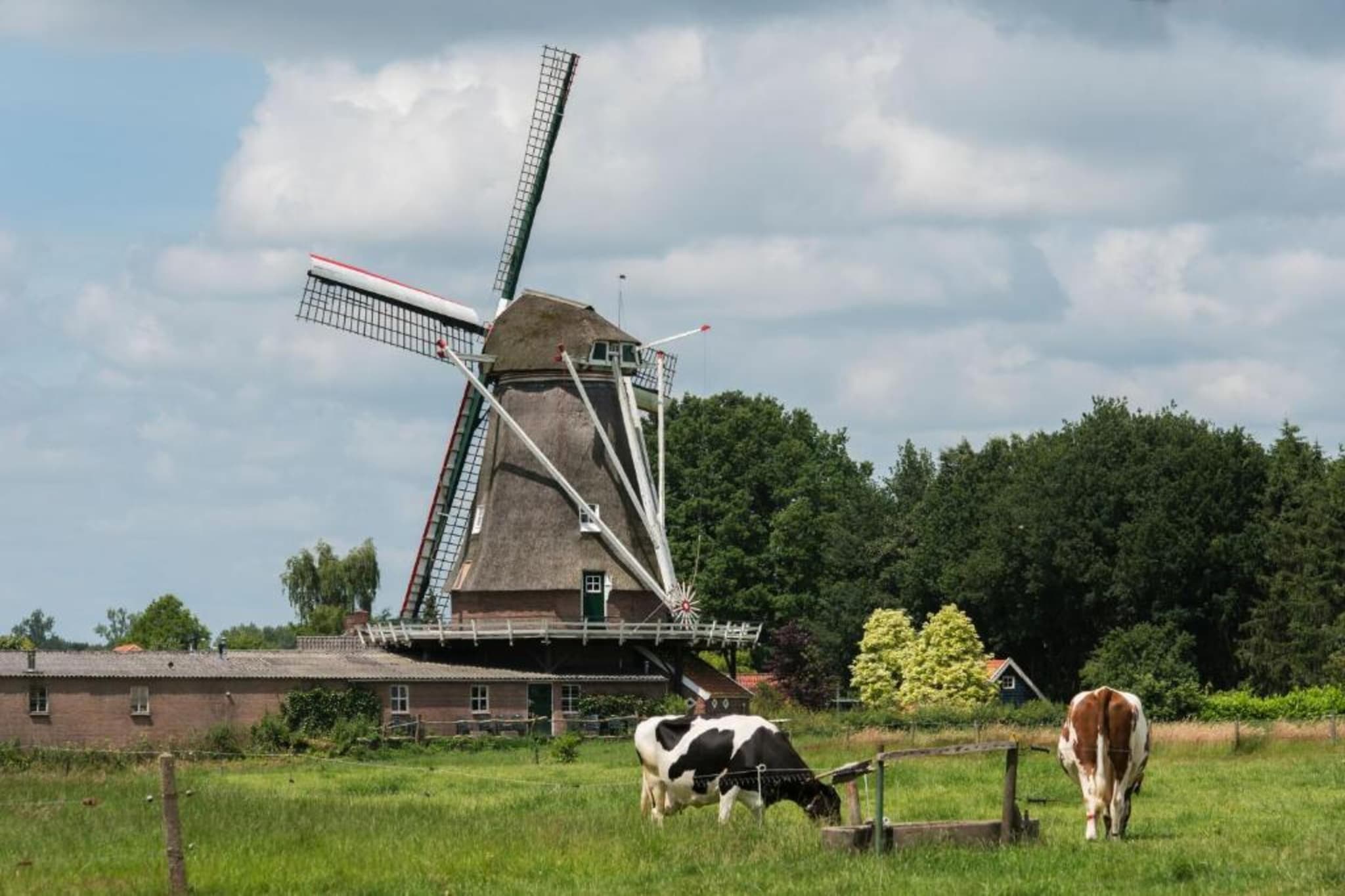 Vakantiepark De Lochemse Berg 2-Areas summer 20km