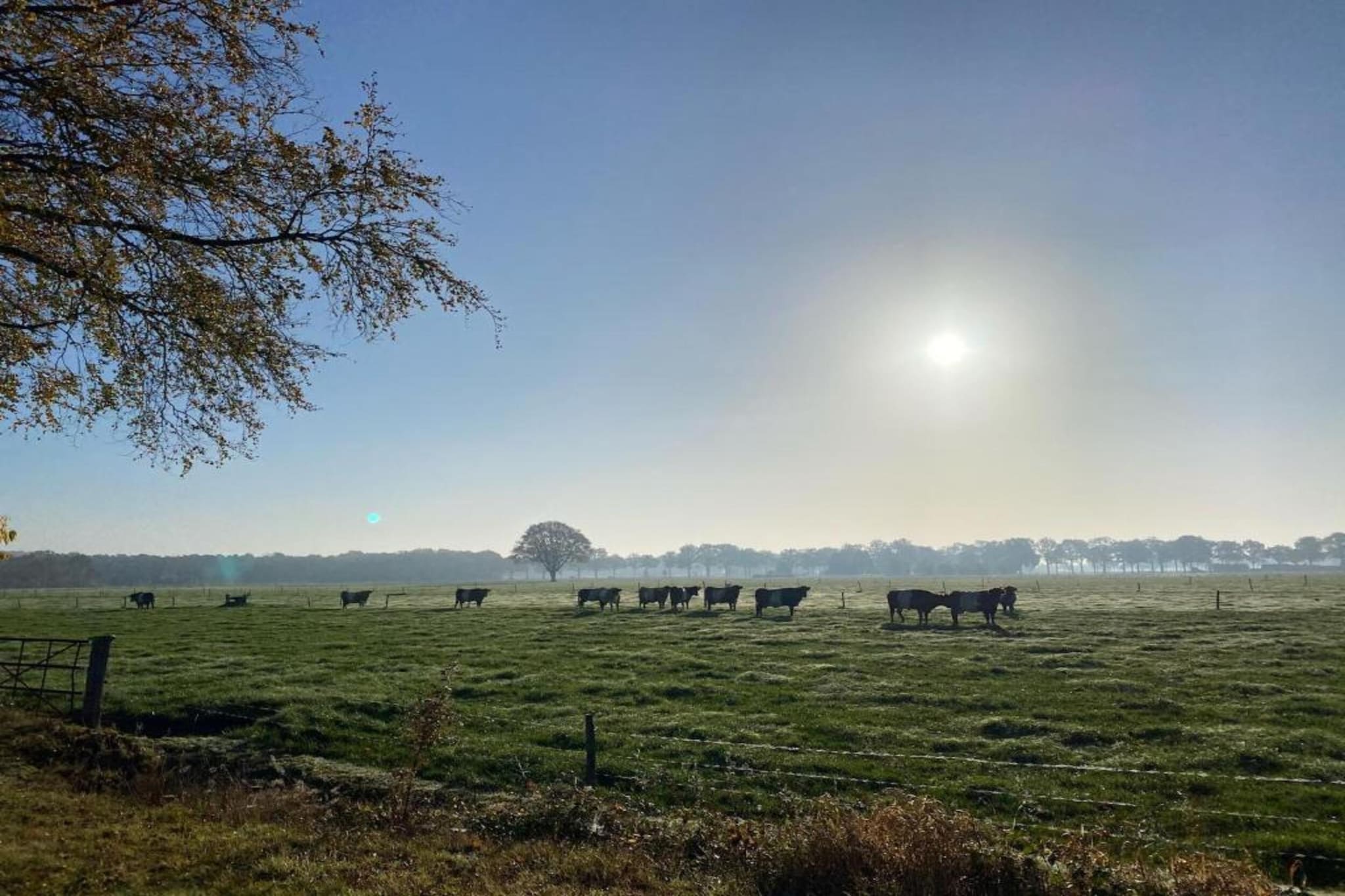 Vakantiepark De Lochemse Berg 2-Areas summer 20km
