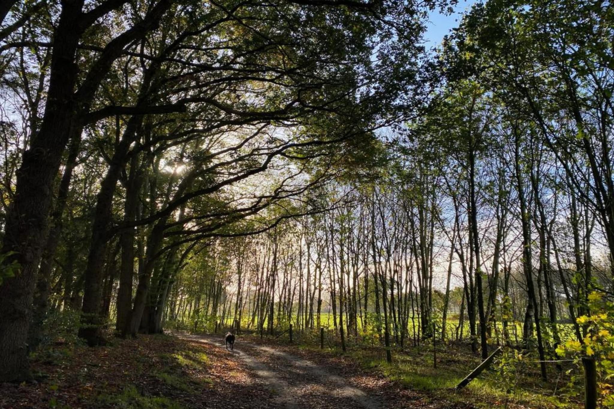 Vakantiepark De Lochemse Berg 2-Areas summer 20km