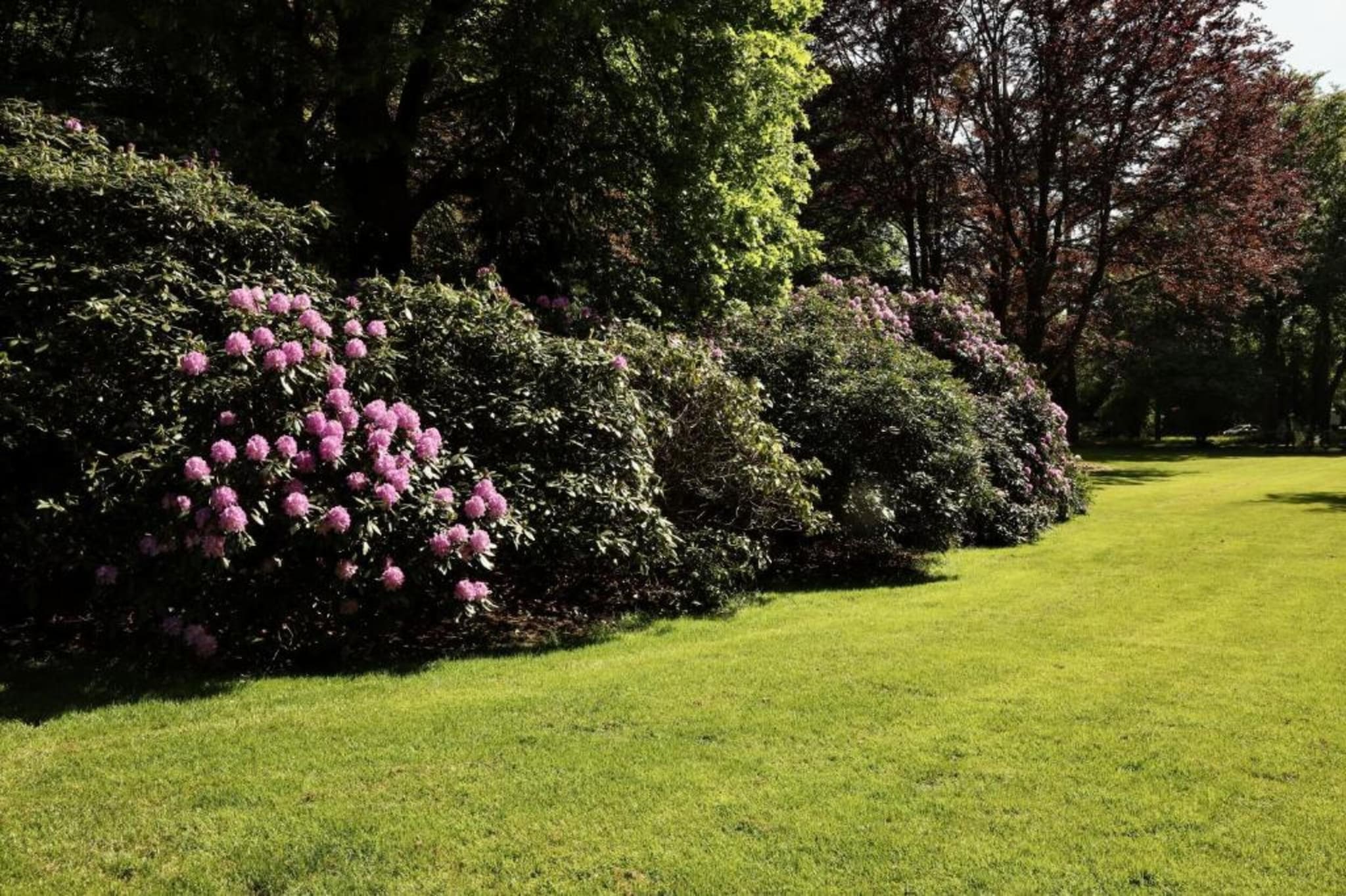 Vakantiepark De Lochemse Berg 2-Areas summer 20km