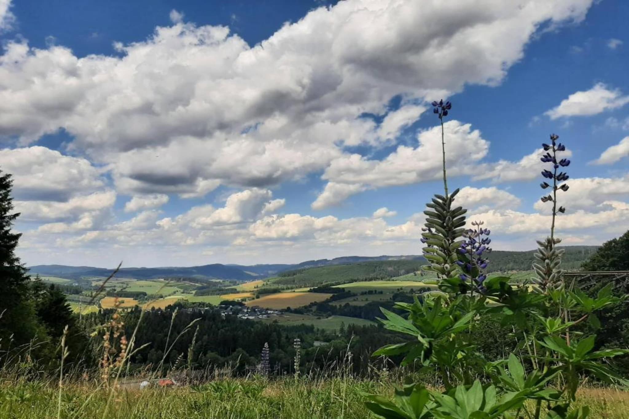 Zum Spitzen Land-Gebieden zomer 20km