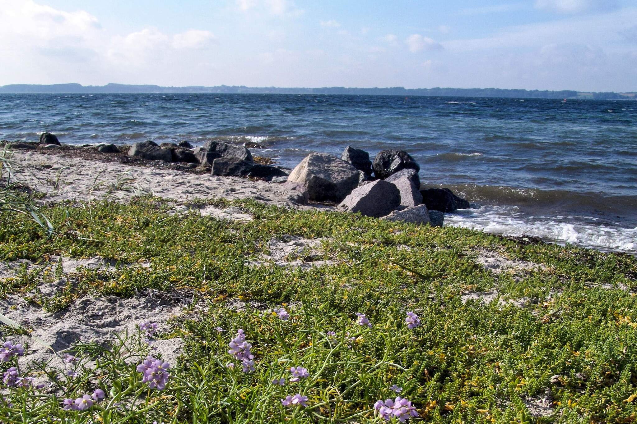 Kustparadijs in Skovmose-By Traum-Waterzicht