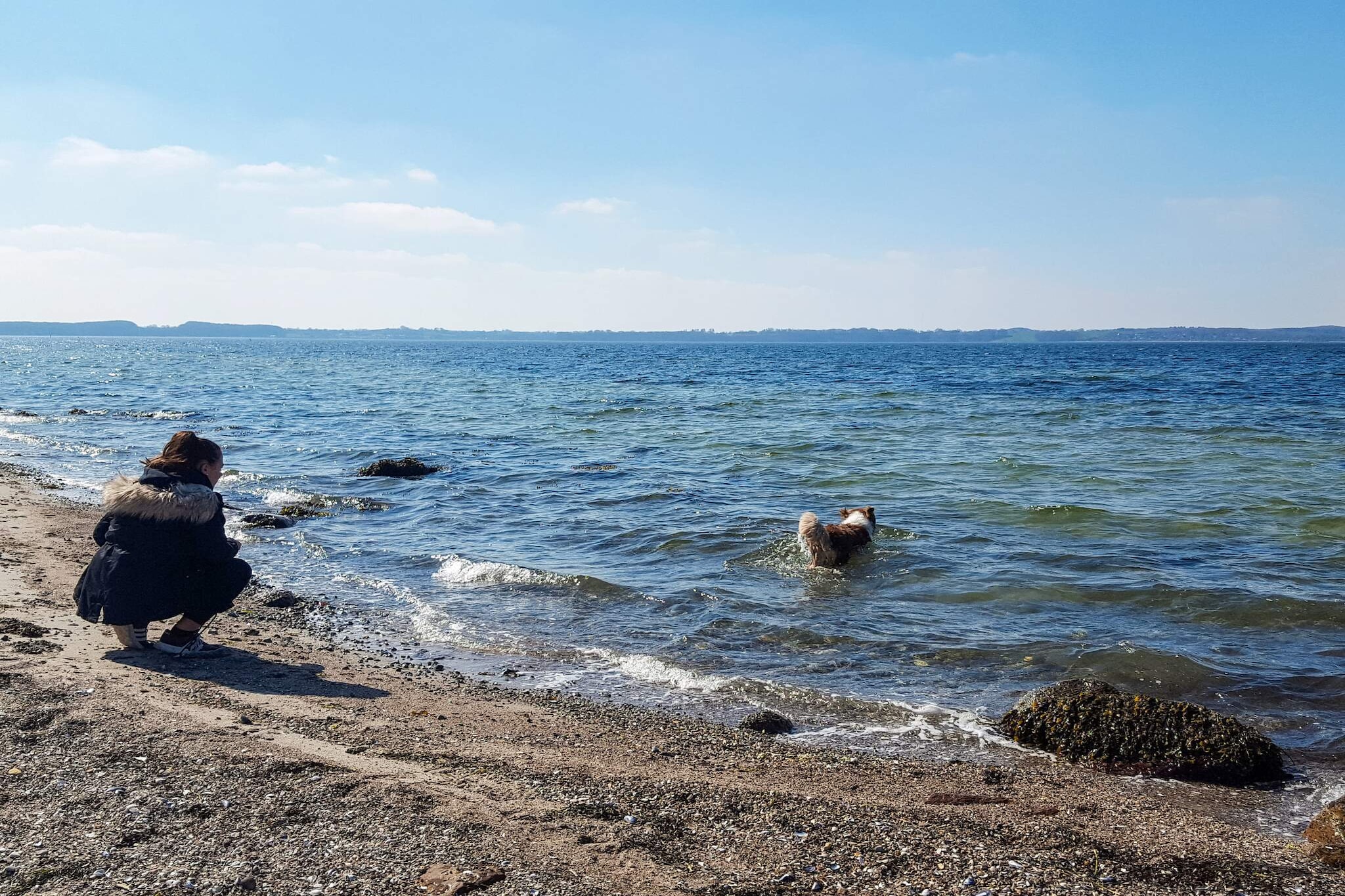 Water View