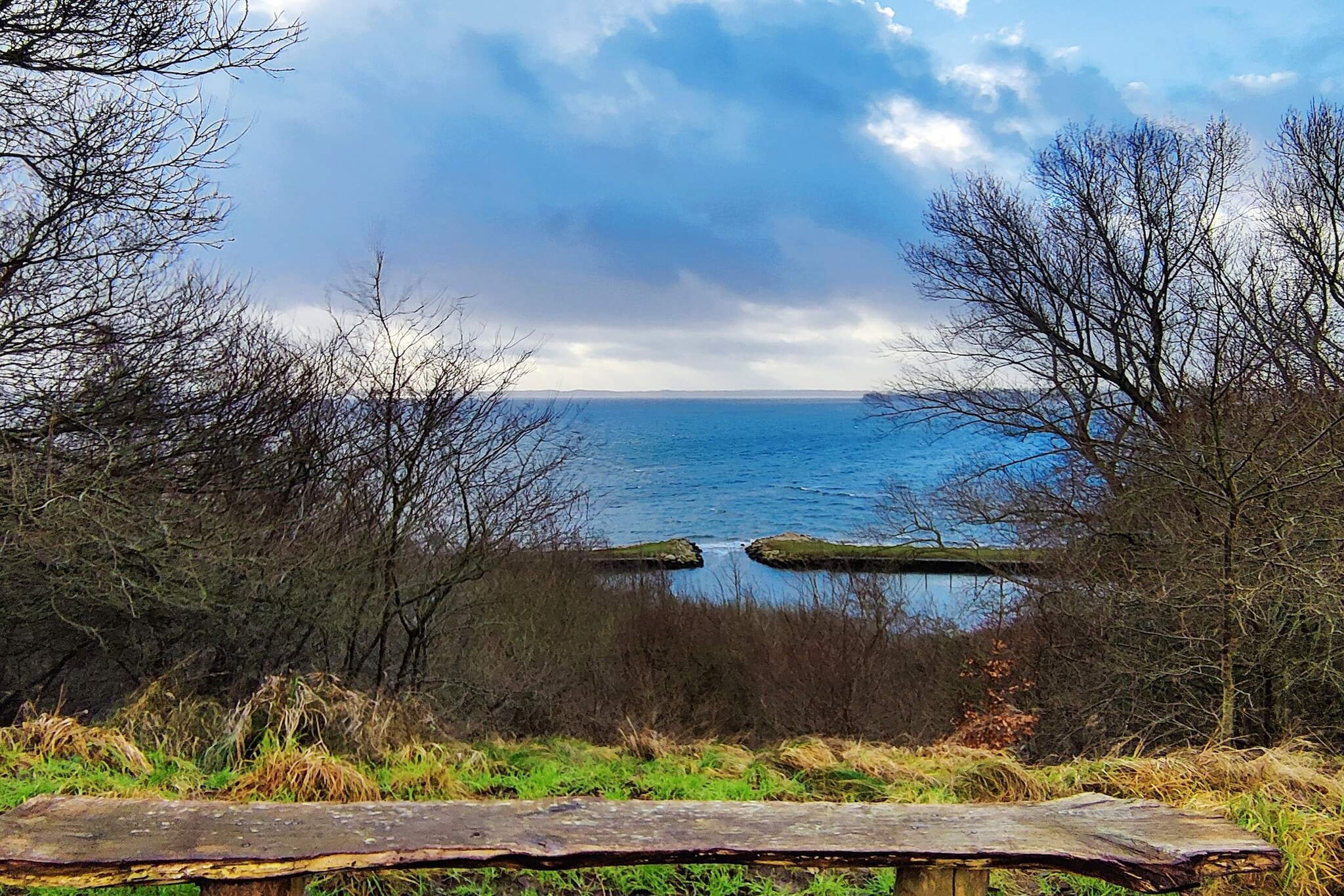 Water View