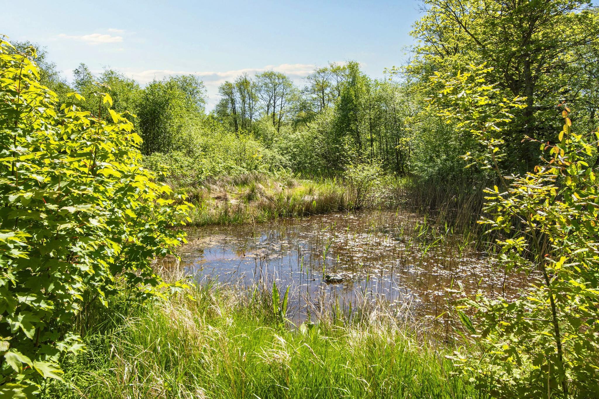 Idyllische Deense Boerderij Retreat-By Traum - Uitzicht