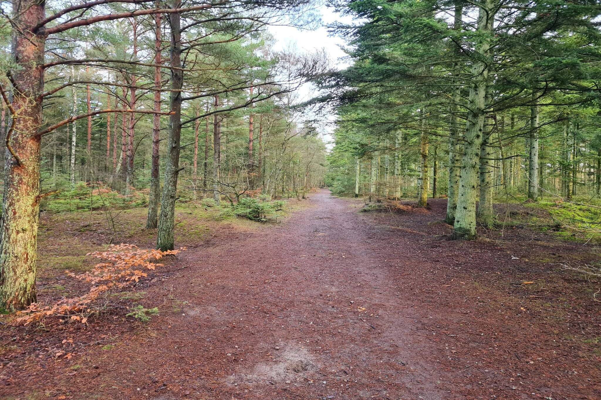 Idyllisch strandverblijf in Albaek-Niet-getagd
