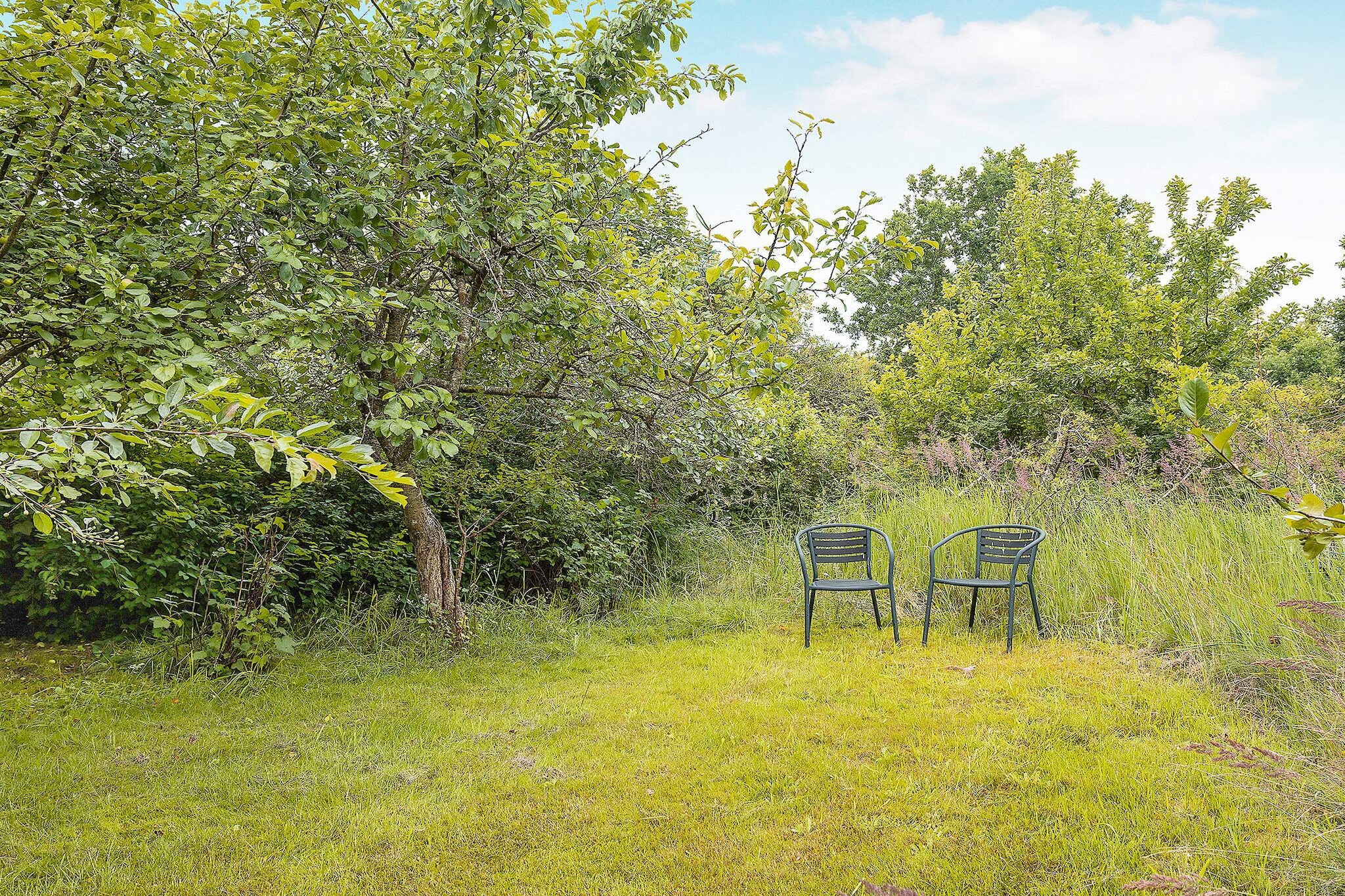 Maison de vacances pour 6 a Jerup - Vue
