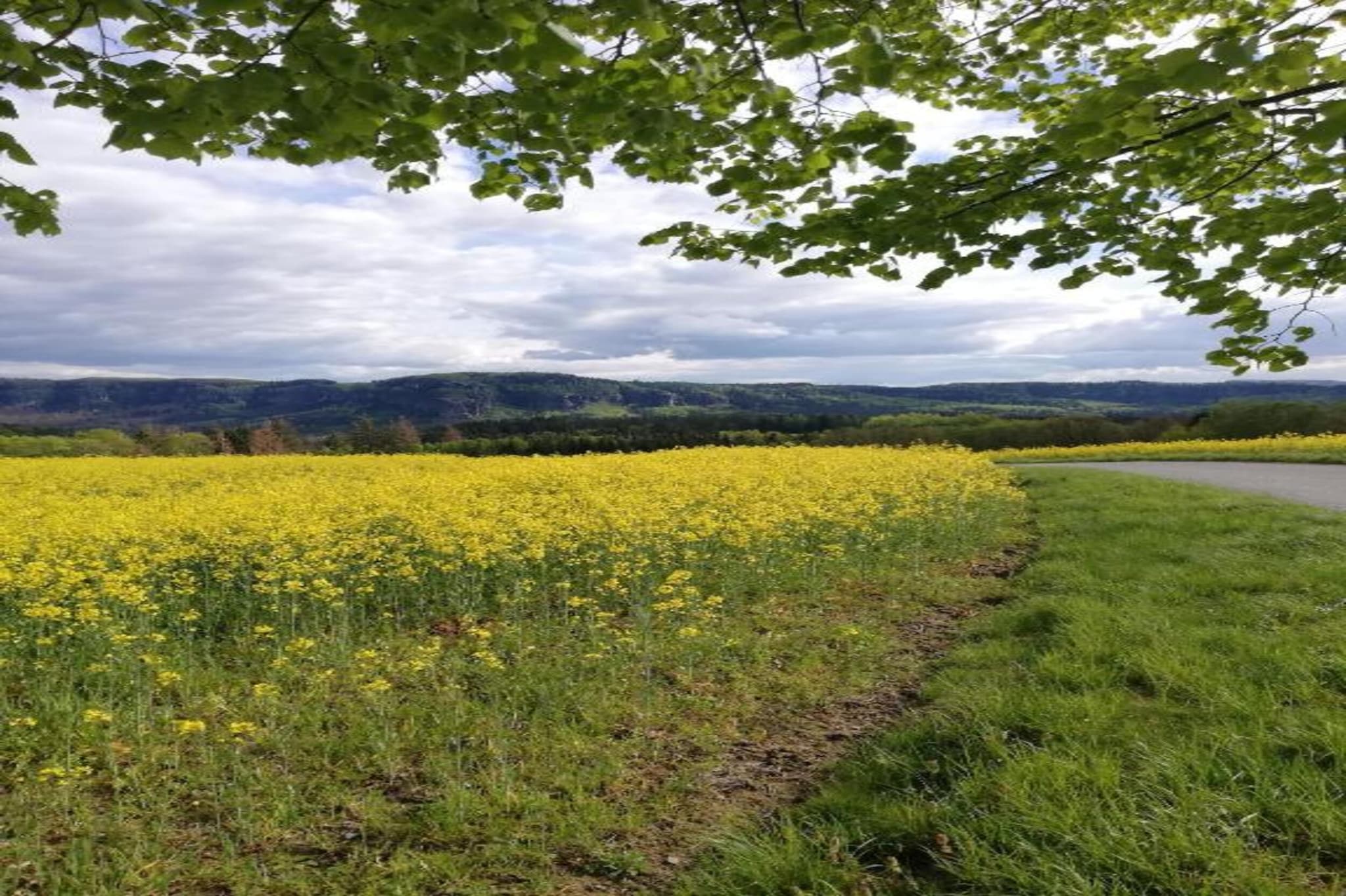 Im Elbsandsteingebirge