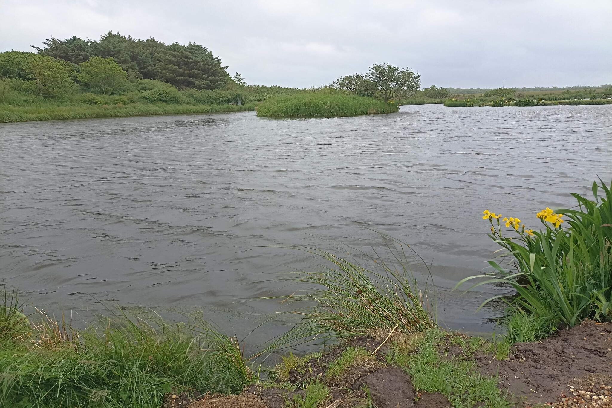 Maison de vacances pour 4 a Bøvlingbjerg - Vue sur l'eau