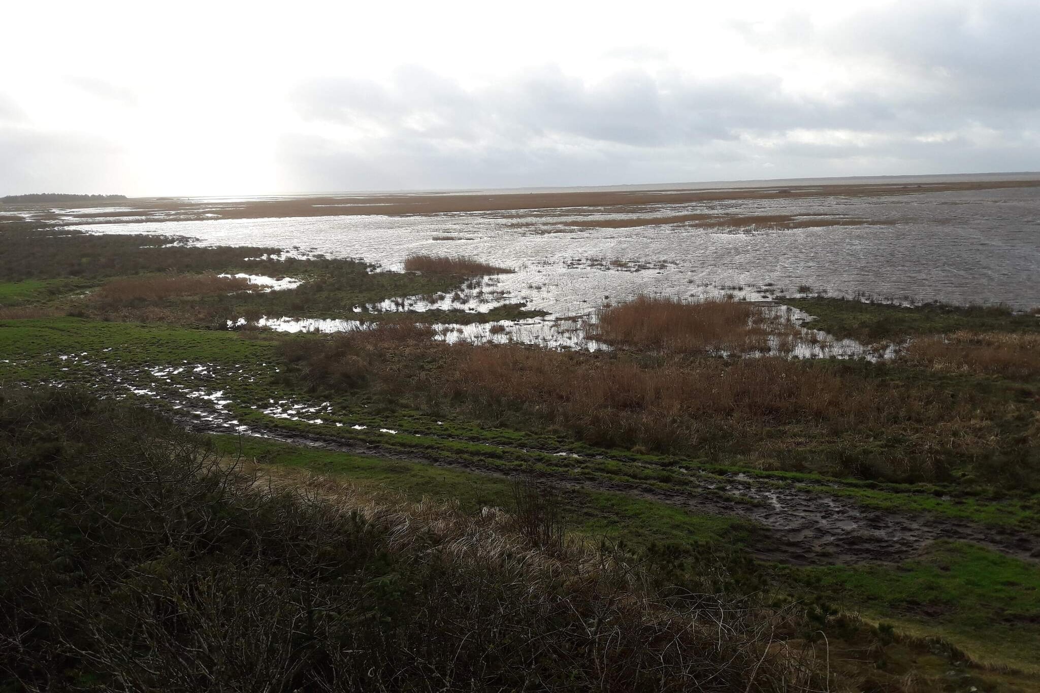 Maison de vacances pour 4 a Bøvlingbjerg - Vue sur l'eau