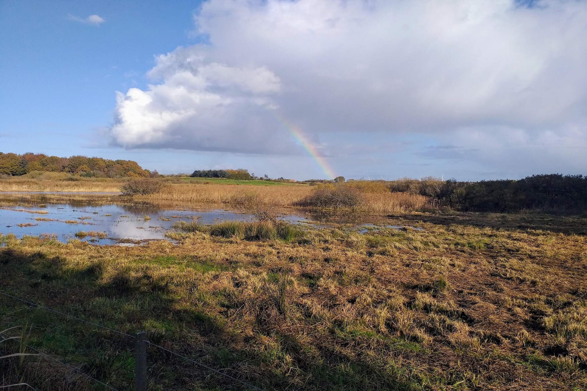Maison de vacances pour 4 a Bøvlingbjerg - Vue sur l'eau
