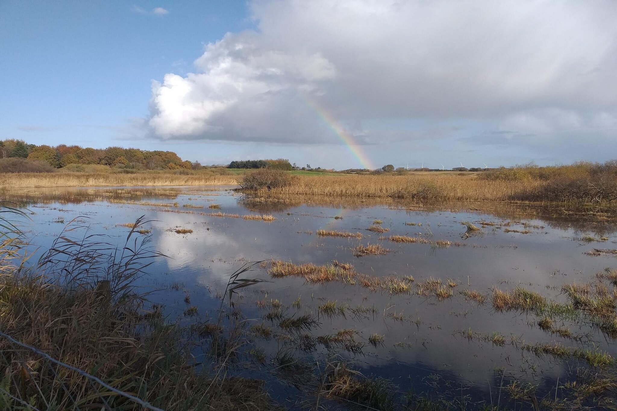 Maison de vacances pour 4 a Bøvlingbjerg - Vue sur l'eau