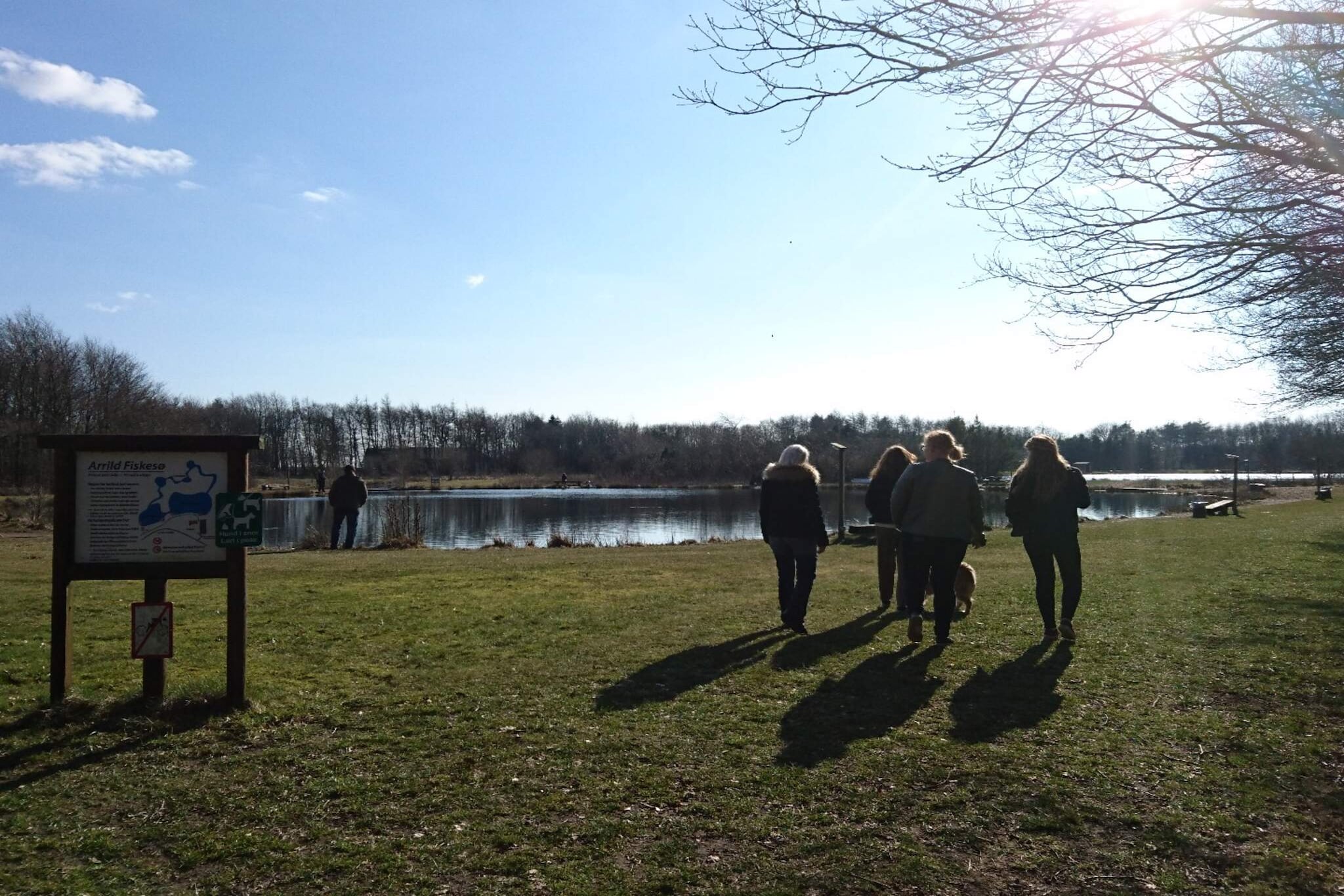 Zonnig toevluchtsoord in Arrild Oasis-By Traum - Niet-getagd