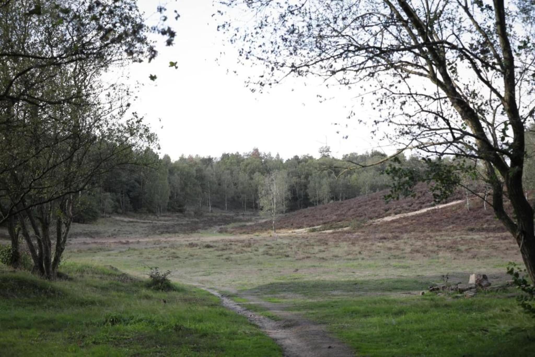 Chalet 'Bosanemoon'-Gebieden zomer 20km