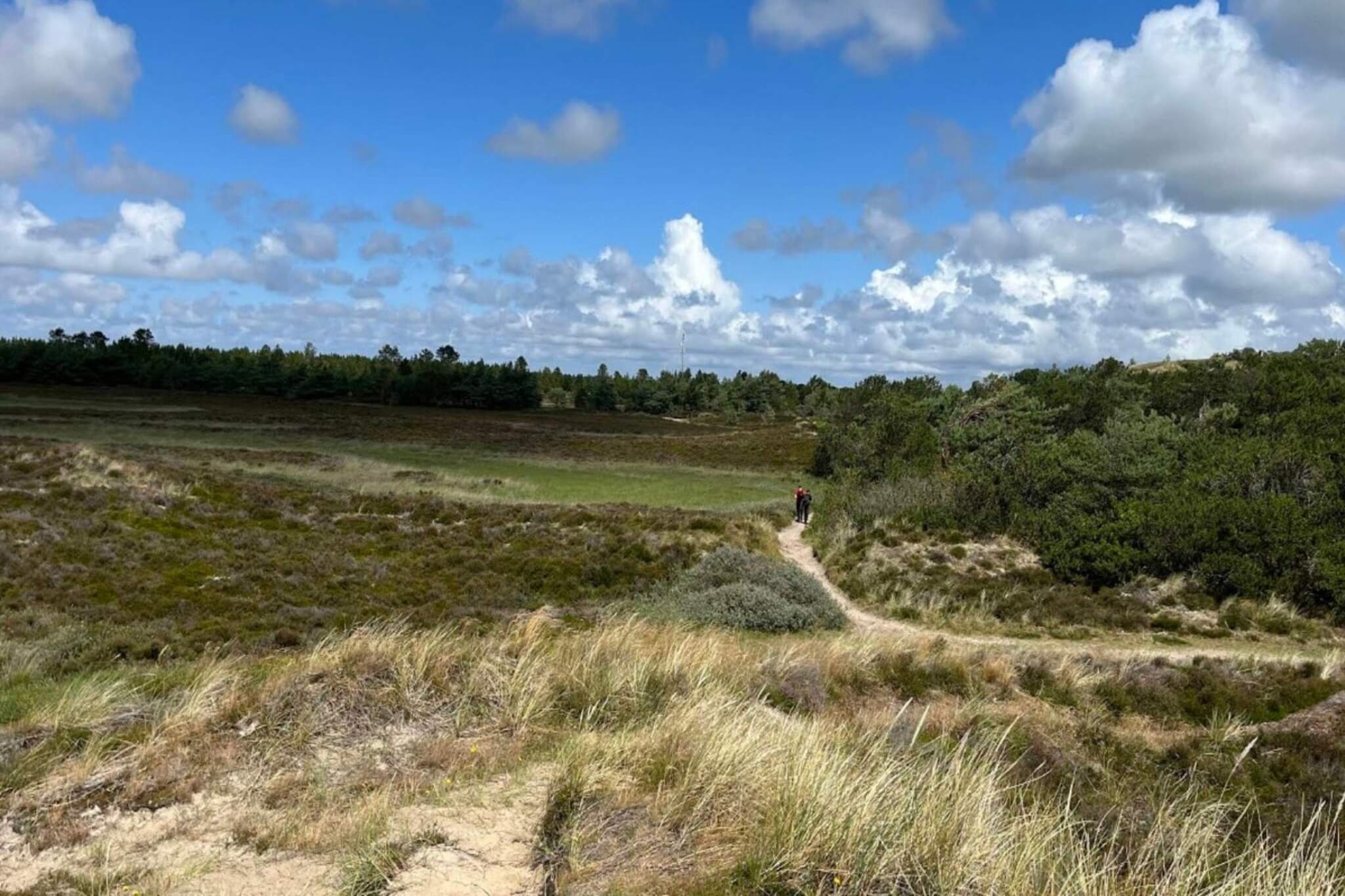 View