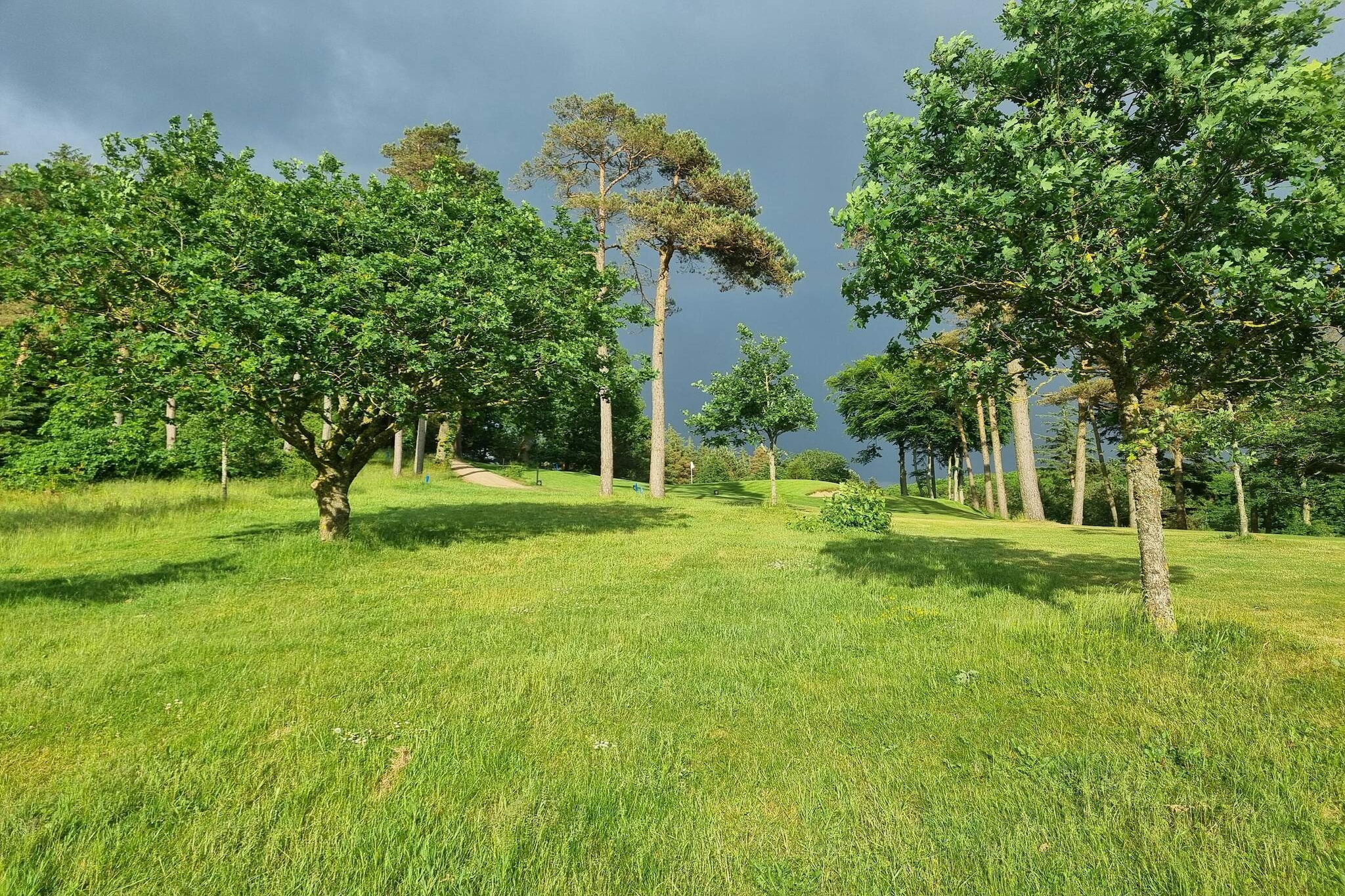 8 persoons vakantie huis in Skals