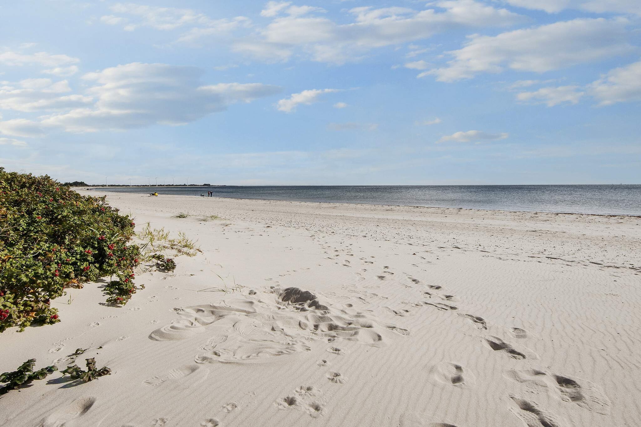 Geraumiges Refugium in Skovmose-By Traum - Aussicht