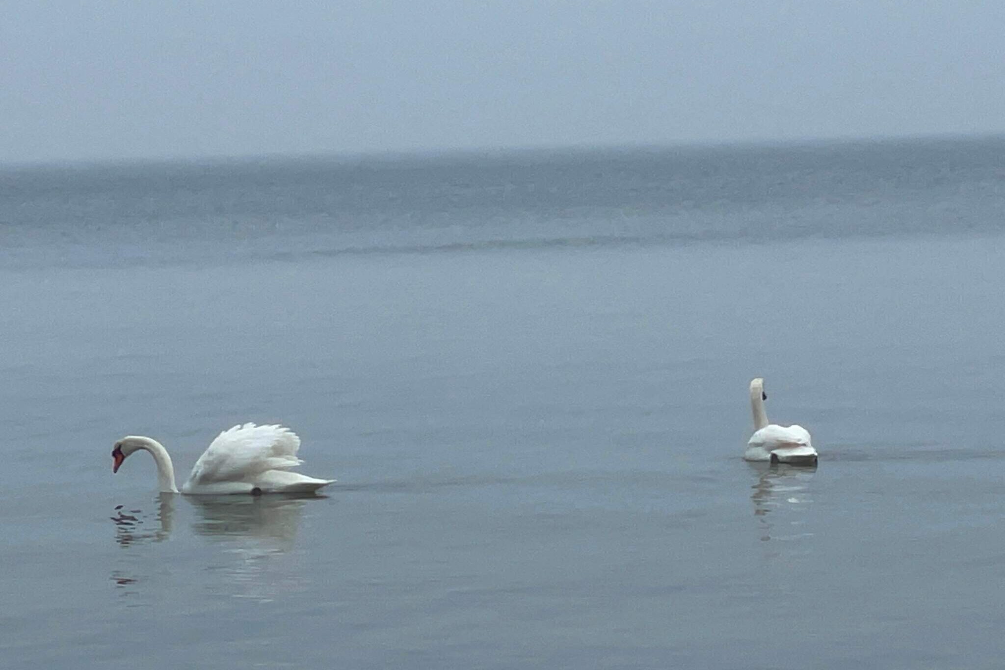 5 persoons vakantie huis in Millinge