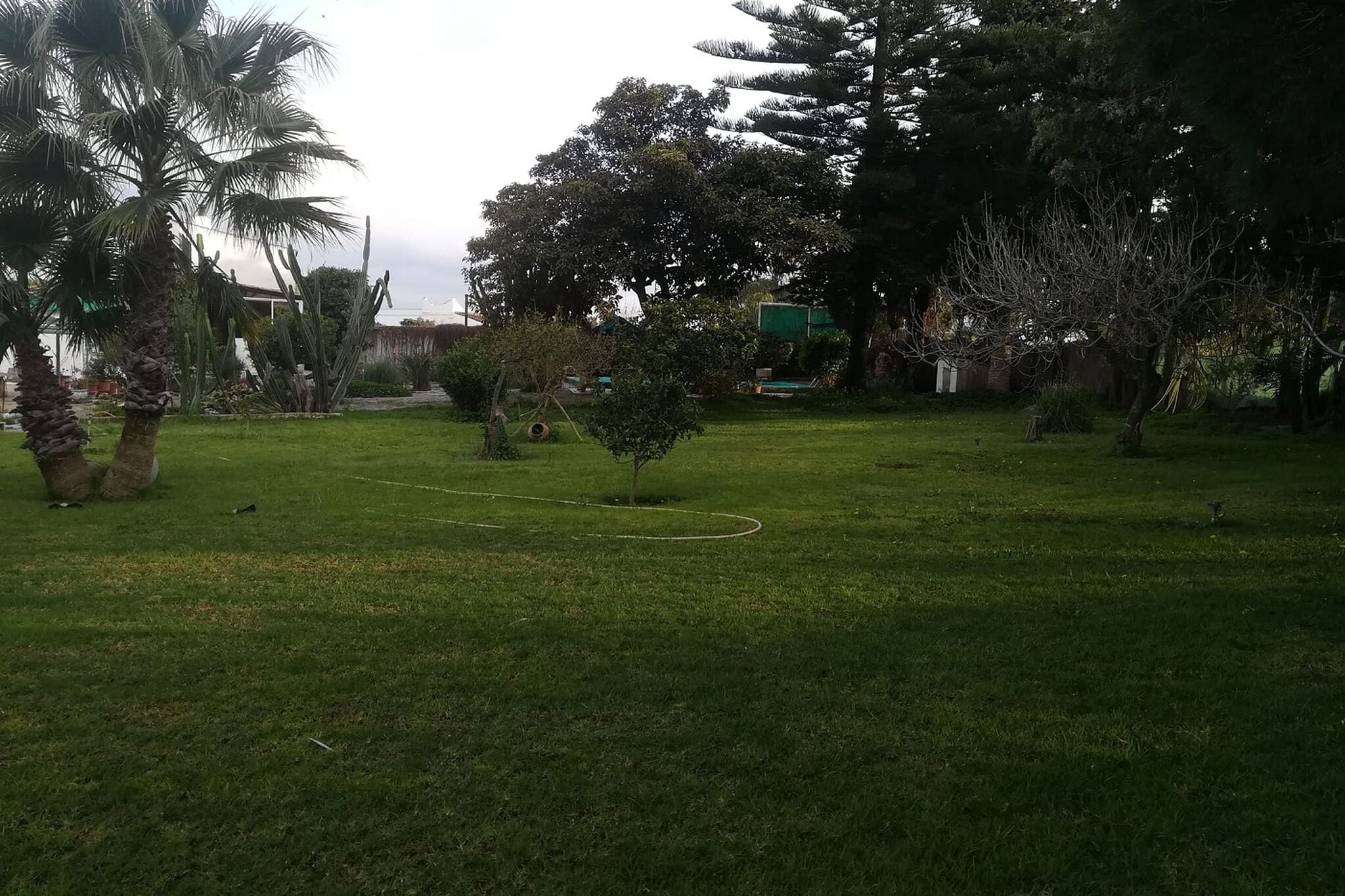Charmantes Ferienhaus in Conil de la Frontera mit Garten