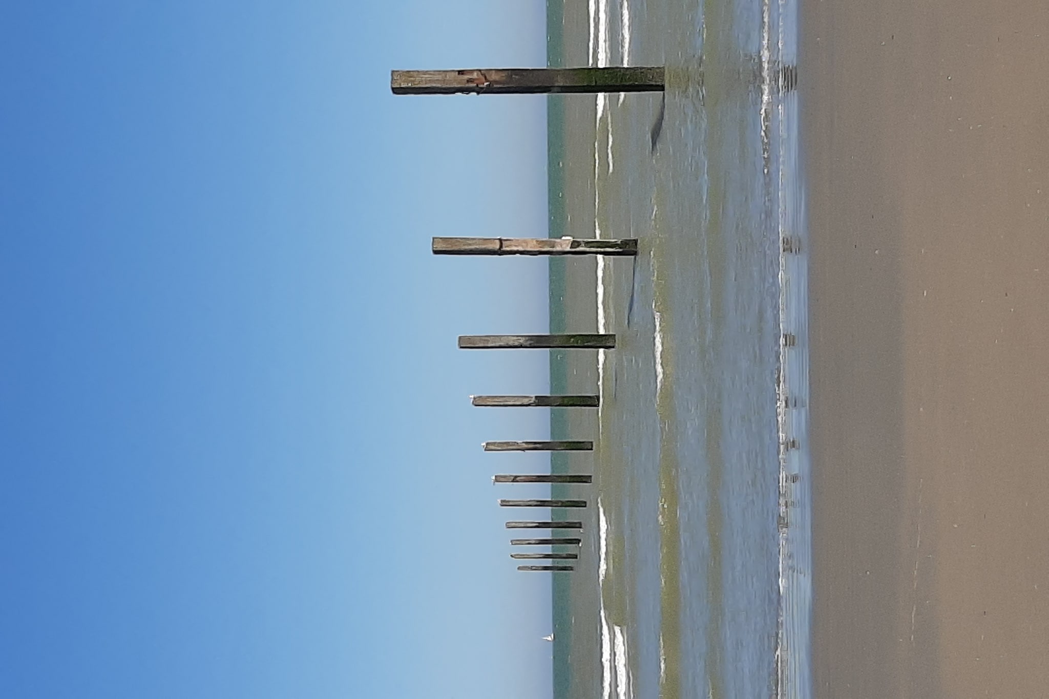 Vakantiehuis Nieuwpoort max. 4 personen 1 slaapkamer #30
