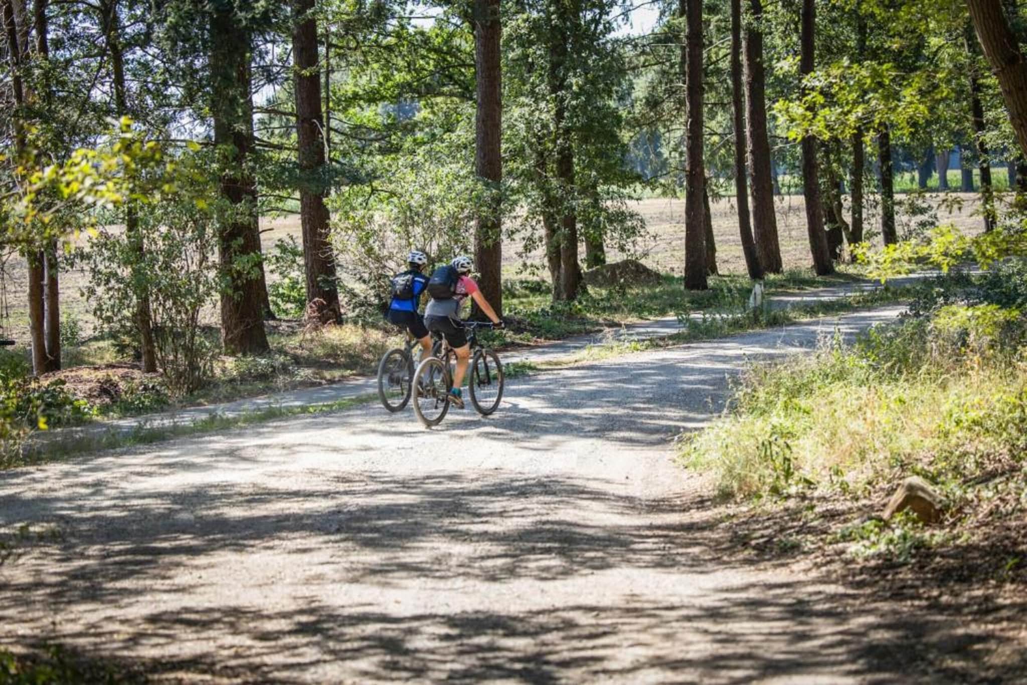 Finse Bungalow in Holten-Gebieden zomer 20km